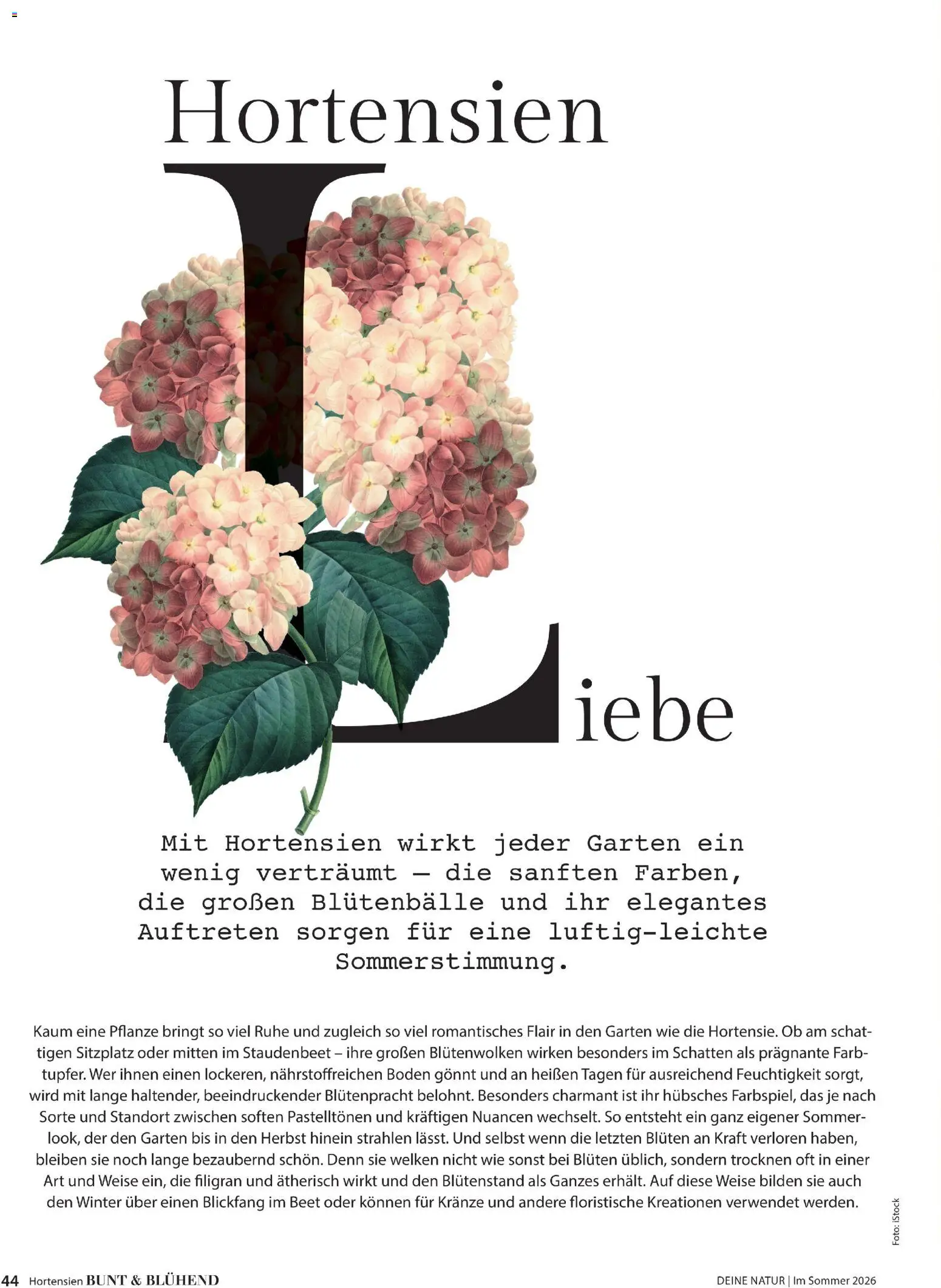 Dehner Prospekt 	 - Seite 44 - gültig ab 17.04.2026