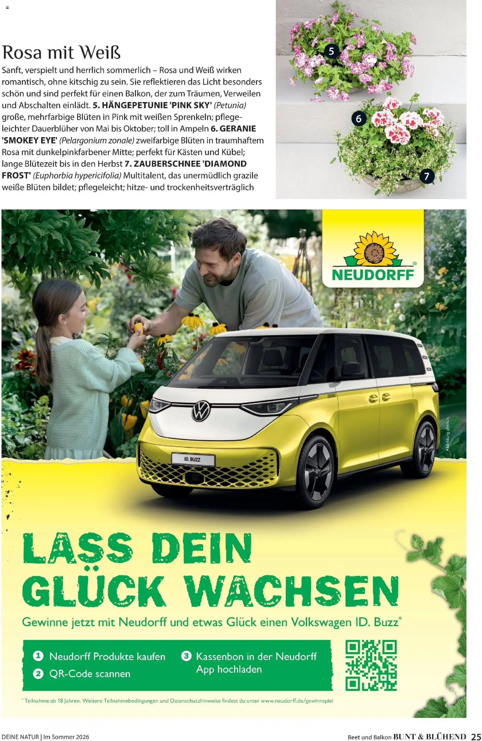 Dehner Prospekt 	 - Seite 25 - gültig ab 17.04.2026