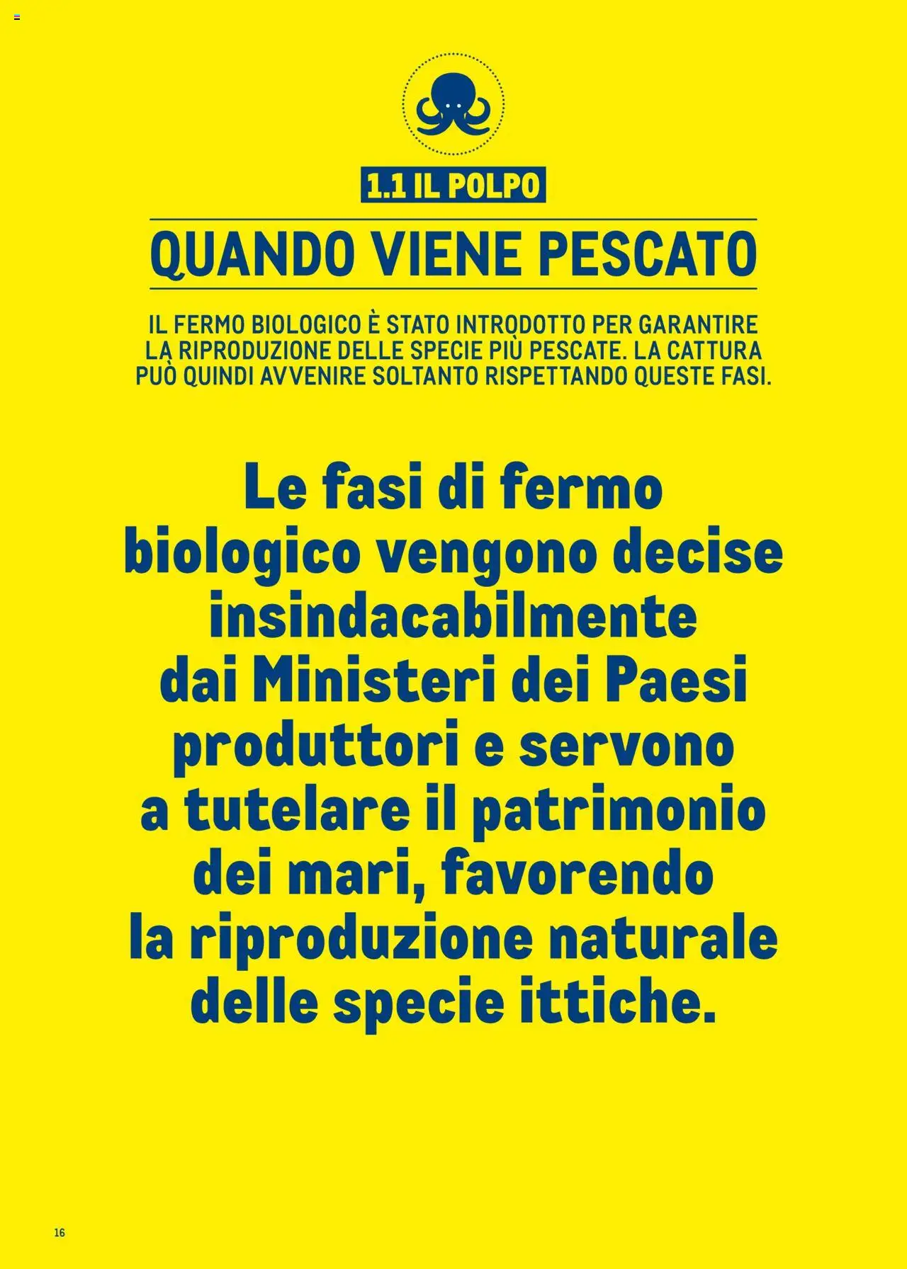 Metro Surgelati 2025 catalogo - pagina 16 - valido dal 30/06/2025
