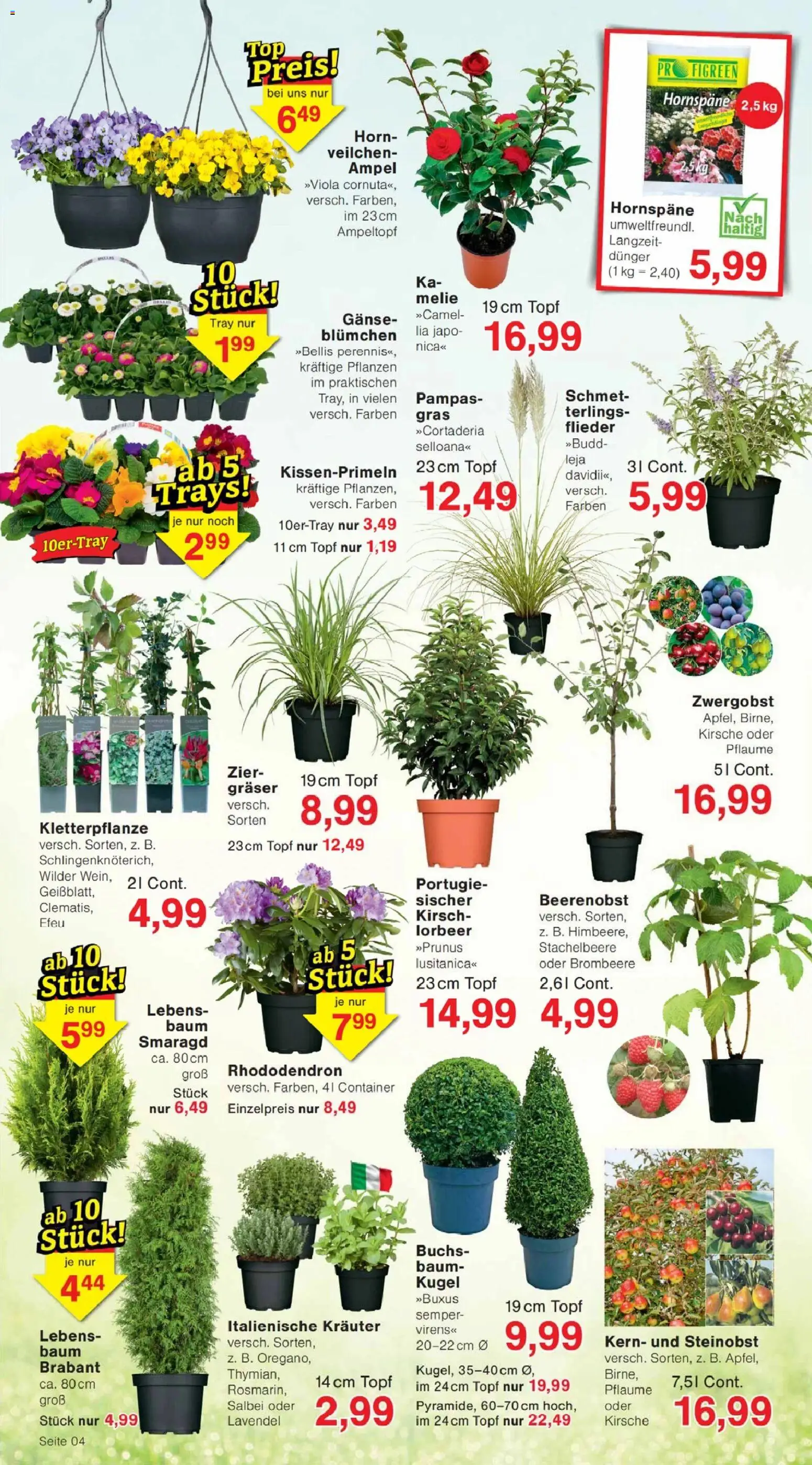 Jawoll Prospekt - Seite 4 - gültig ab 09.03.2026