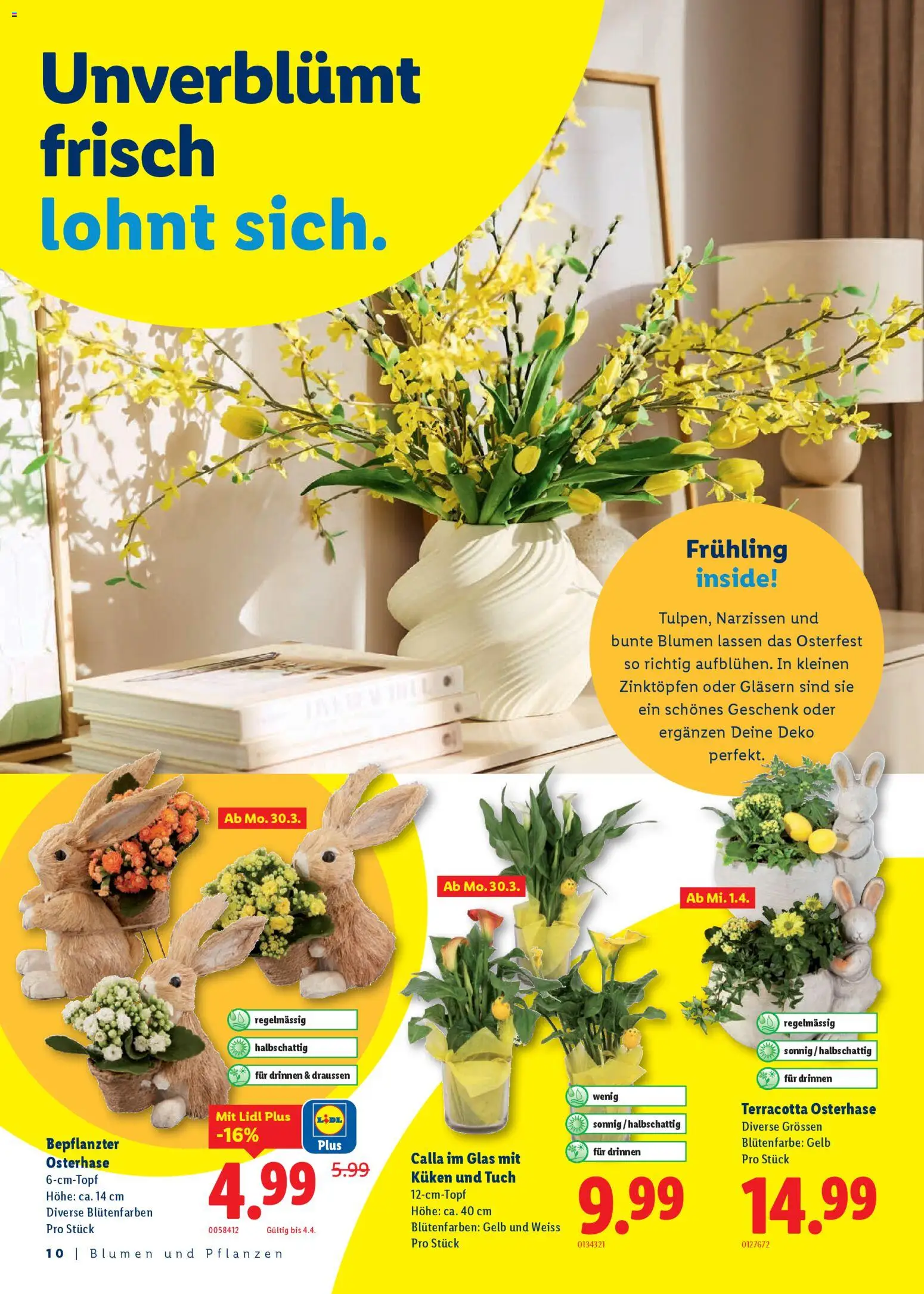 Lidl Aktionen Ostern - page 10- valid from 26.02.2026