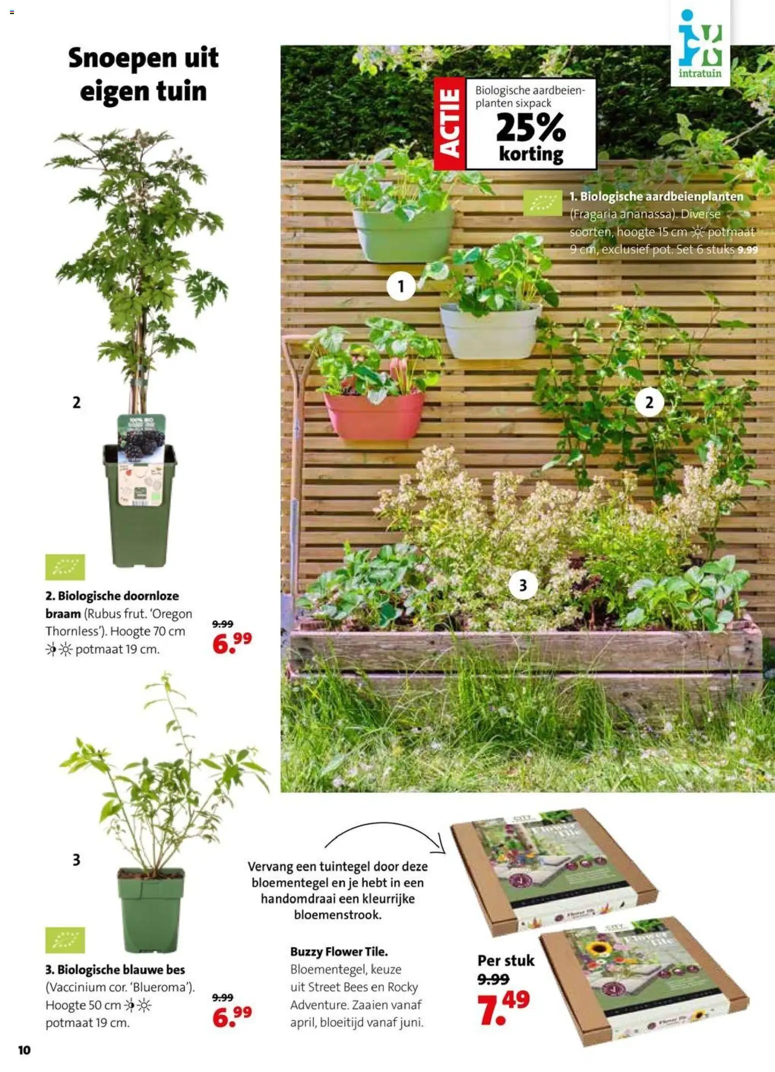 Intratuin folder - page 10- valid from 30-03-2026