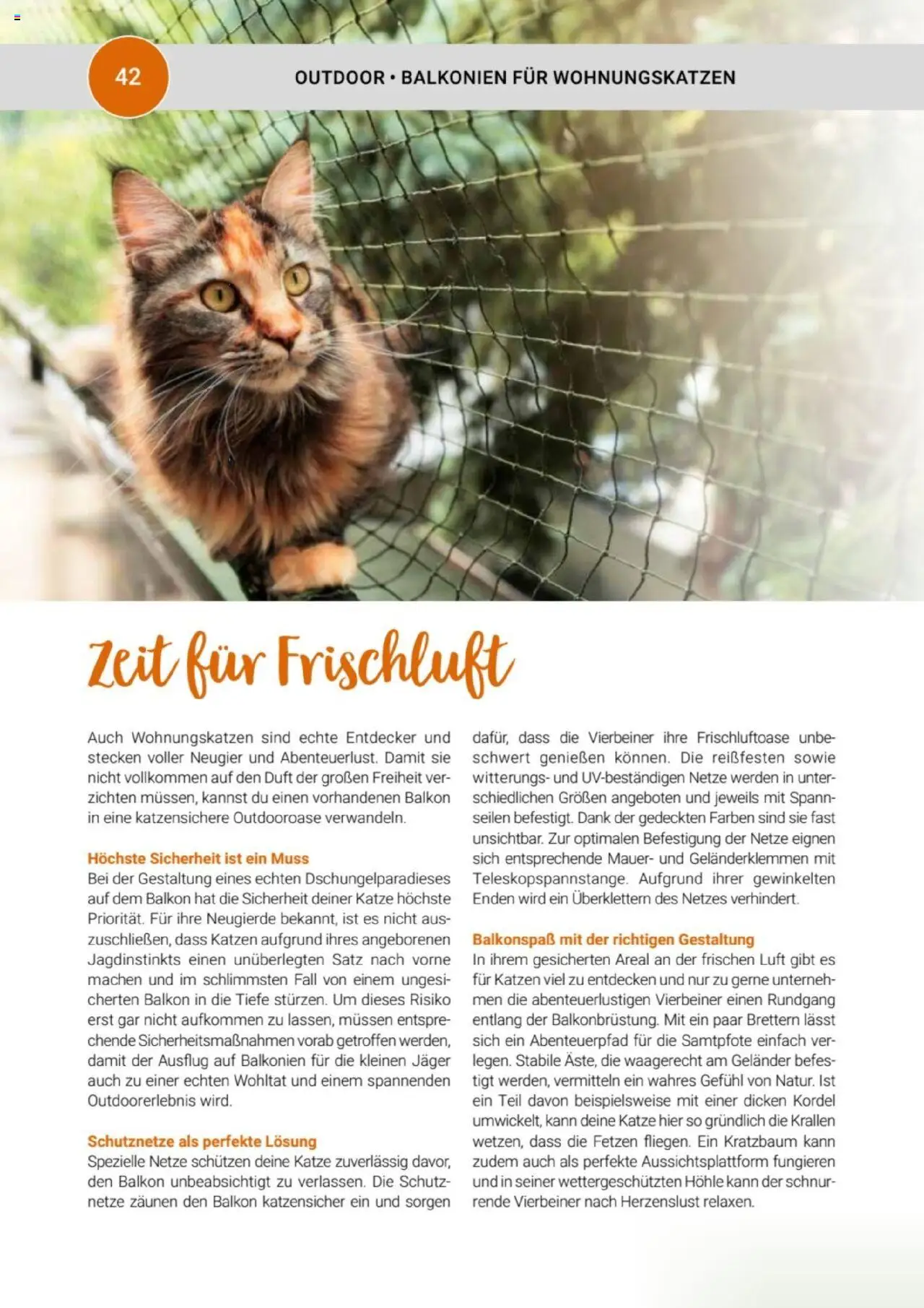 zookauf Themenkatalog Katze - Seite 42 - gültig ab 01.10.2025