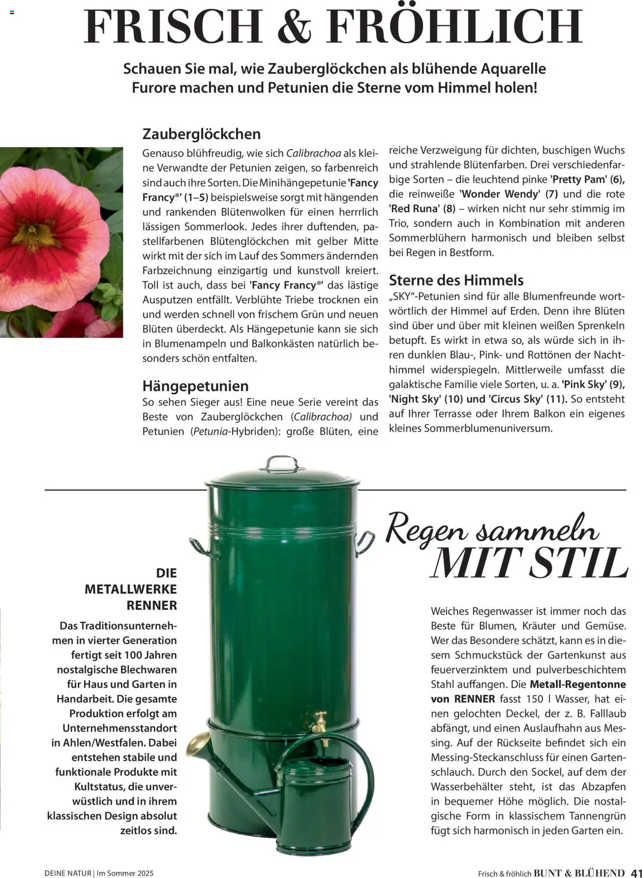 Dehner Flugblatt - Seite 41- gültig ab 17.04.2025
