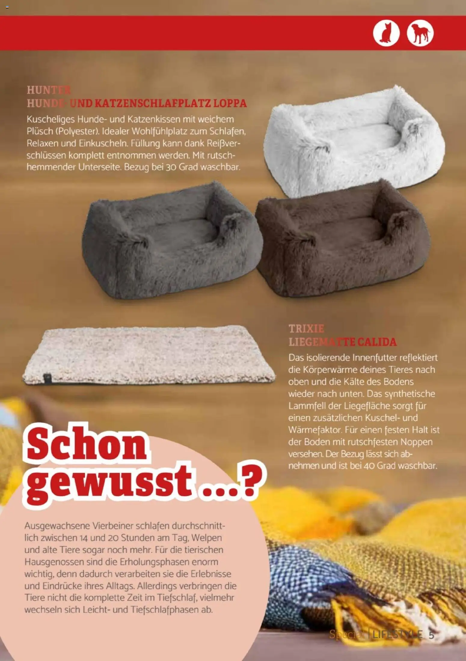 zookauf  Heimtier Journal Special - Seite 5 - gültig ab 01.12.2025