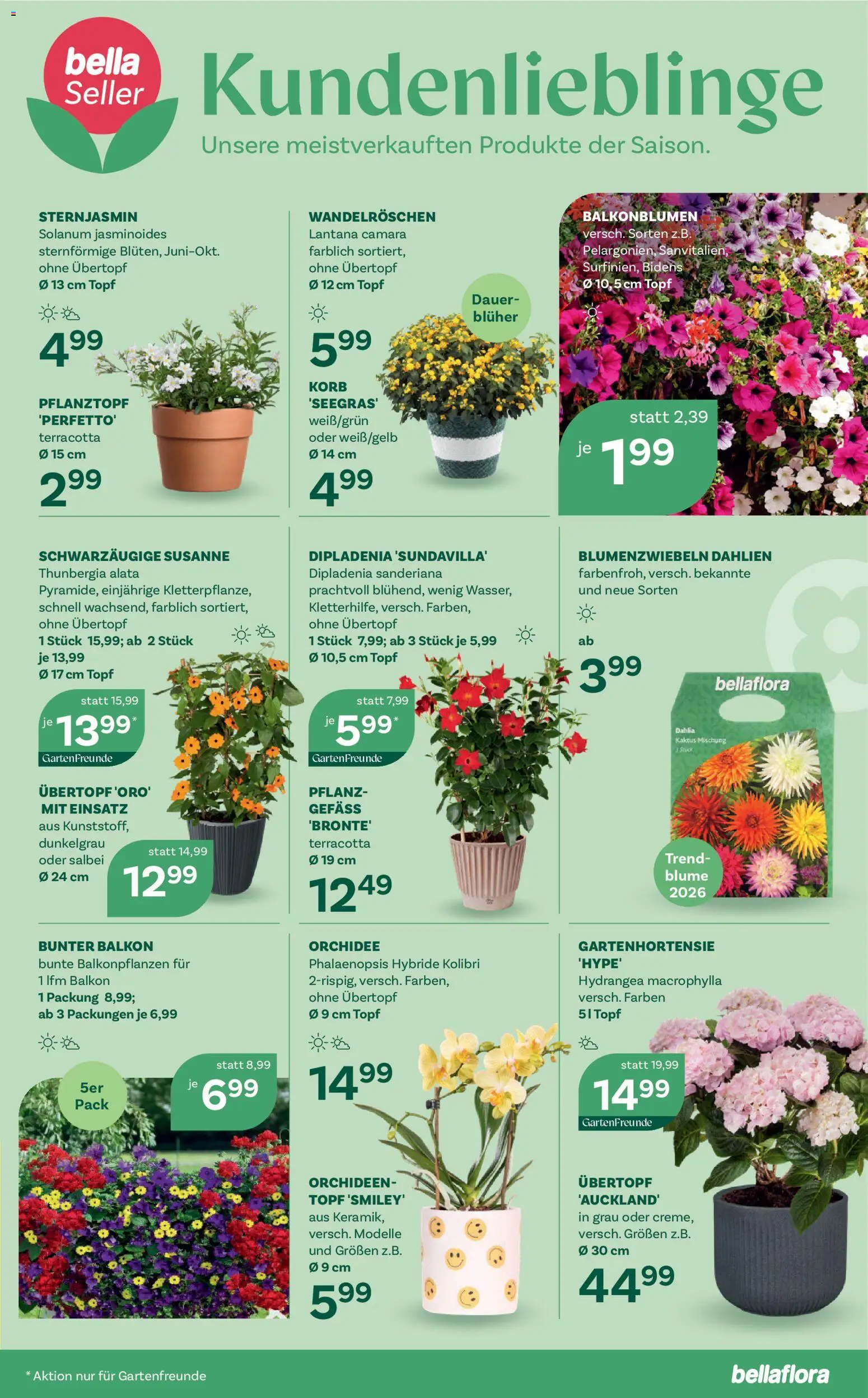bellaflora Flugblatt - page 11- valid from 02.04.2026