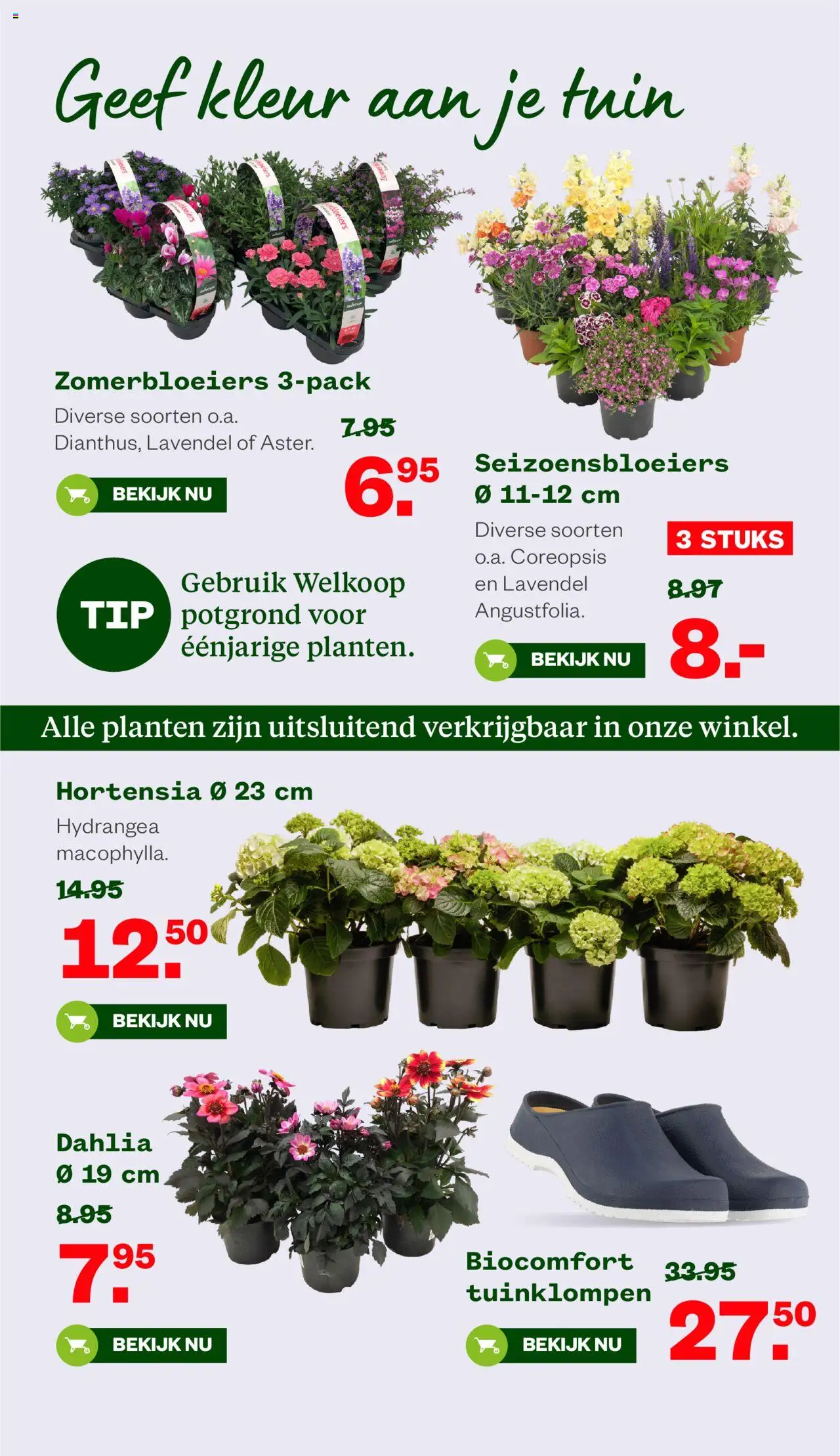 Welkoop - Folder - pagina 12- geldig vanaf 14-07-2025