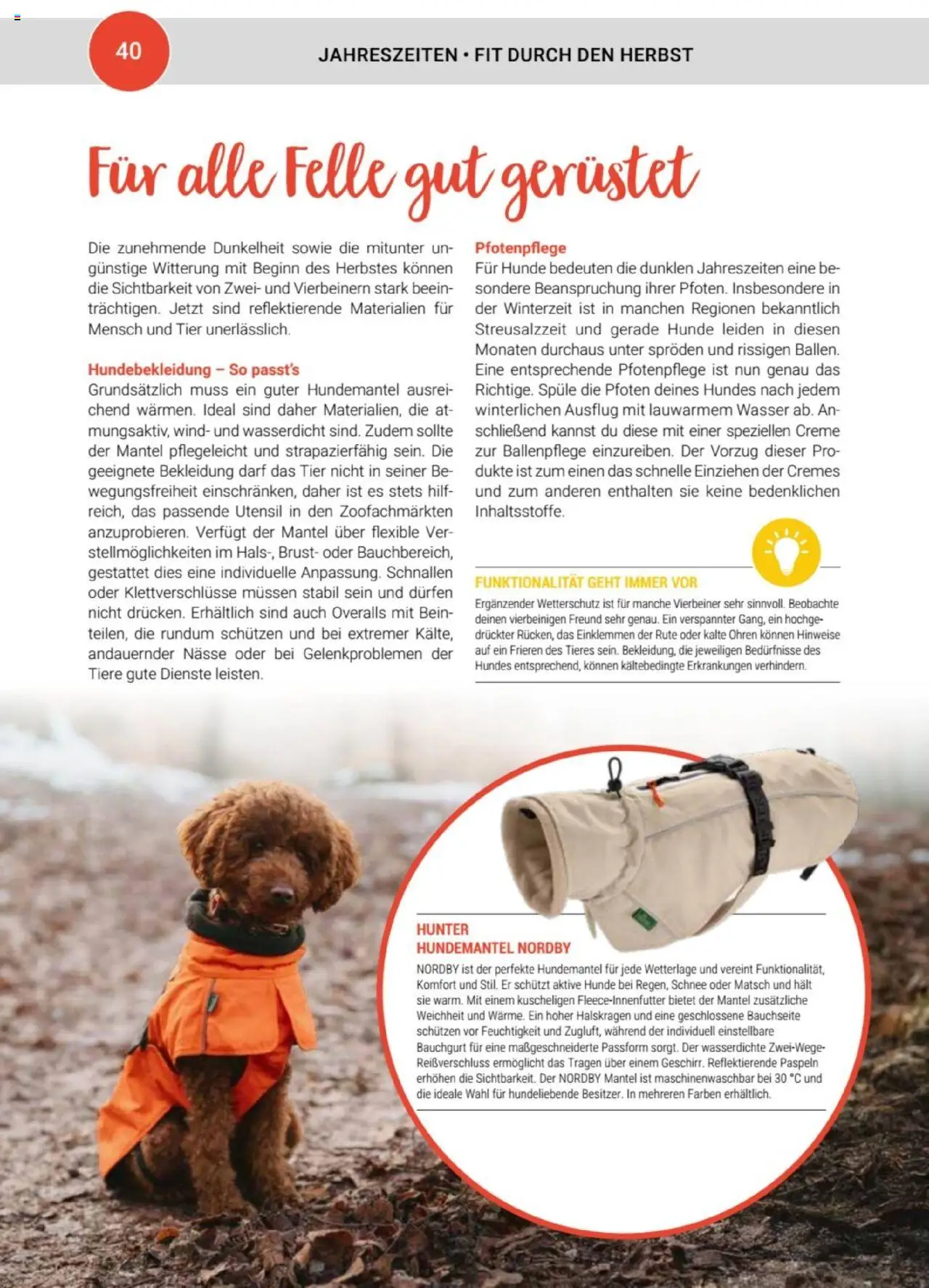 zookauf  Themenkatalog Hund - Seite 40 - gültig ab 20.05.2025