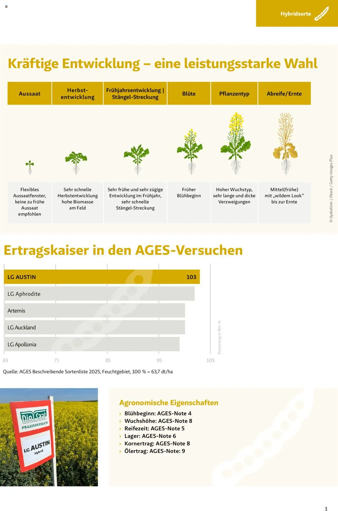 Lagerhaus Das Fachblatt für den Rapsanbau - Seite 3- gültig ab 28.05.2025
