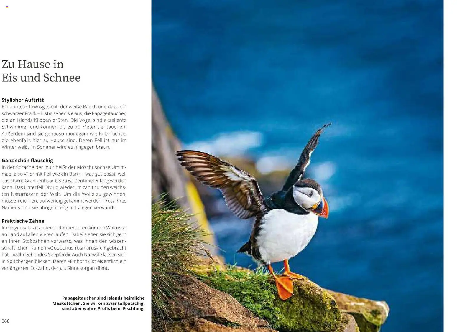 Aida Prospekt 	 - Seite 20 - gültig ab 01.10.2026