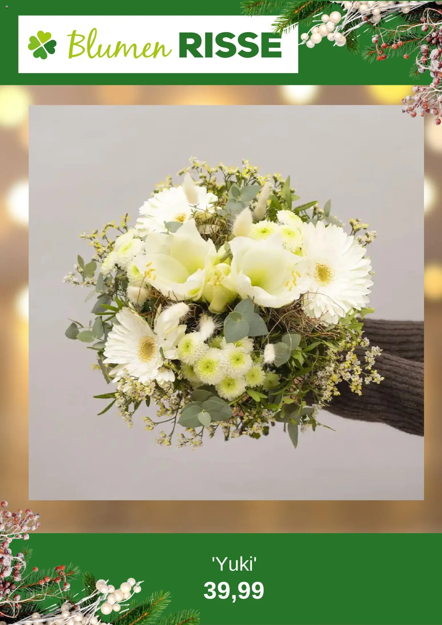 Blumen Risse Prospekt 	 - Seite 8 - gültig ab 24.11.2025