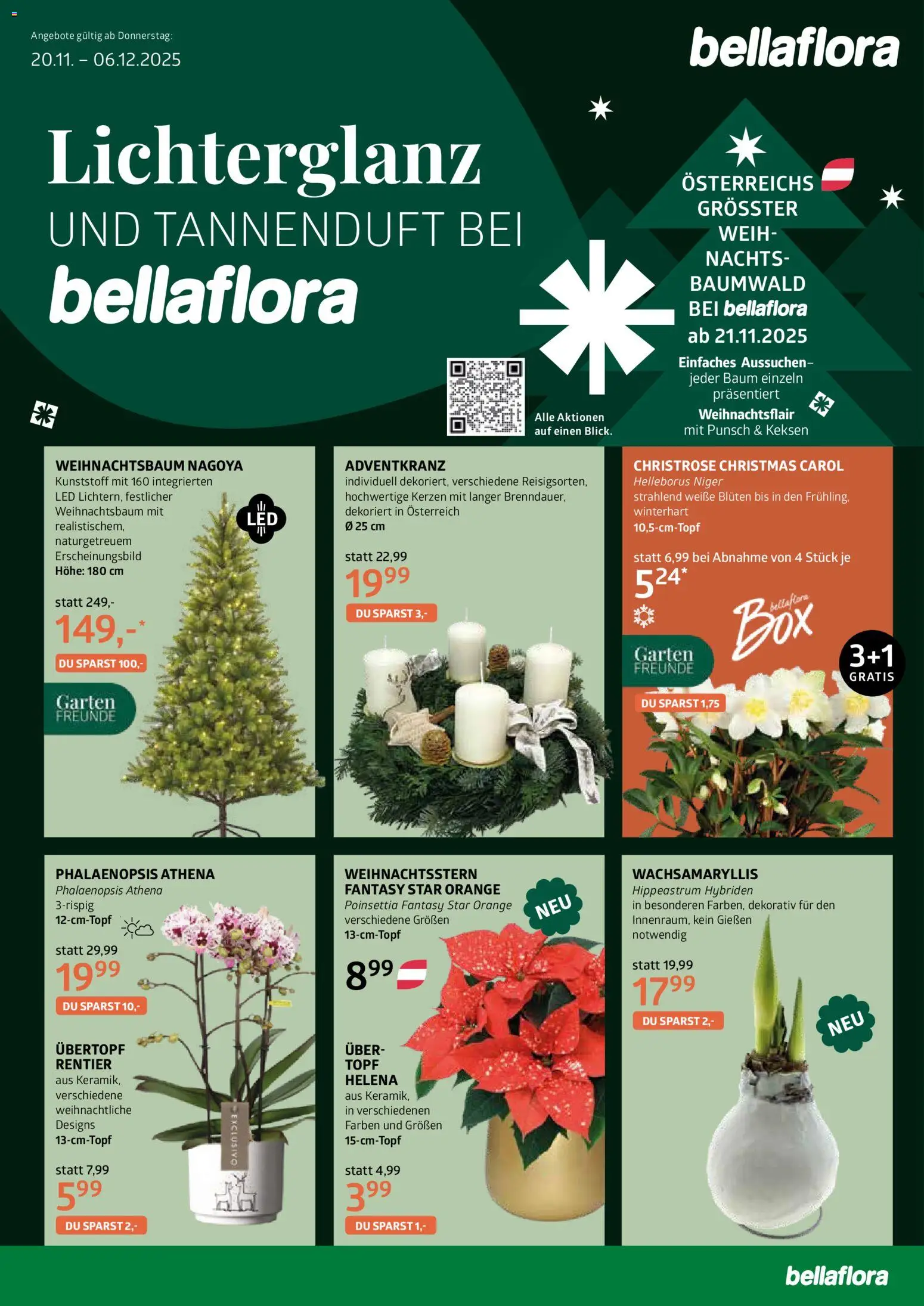 bellaflora Flugblatt - Seite 1- gültig ab 20.11.2025