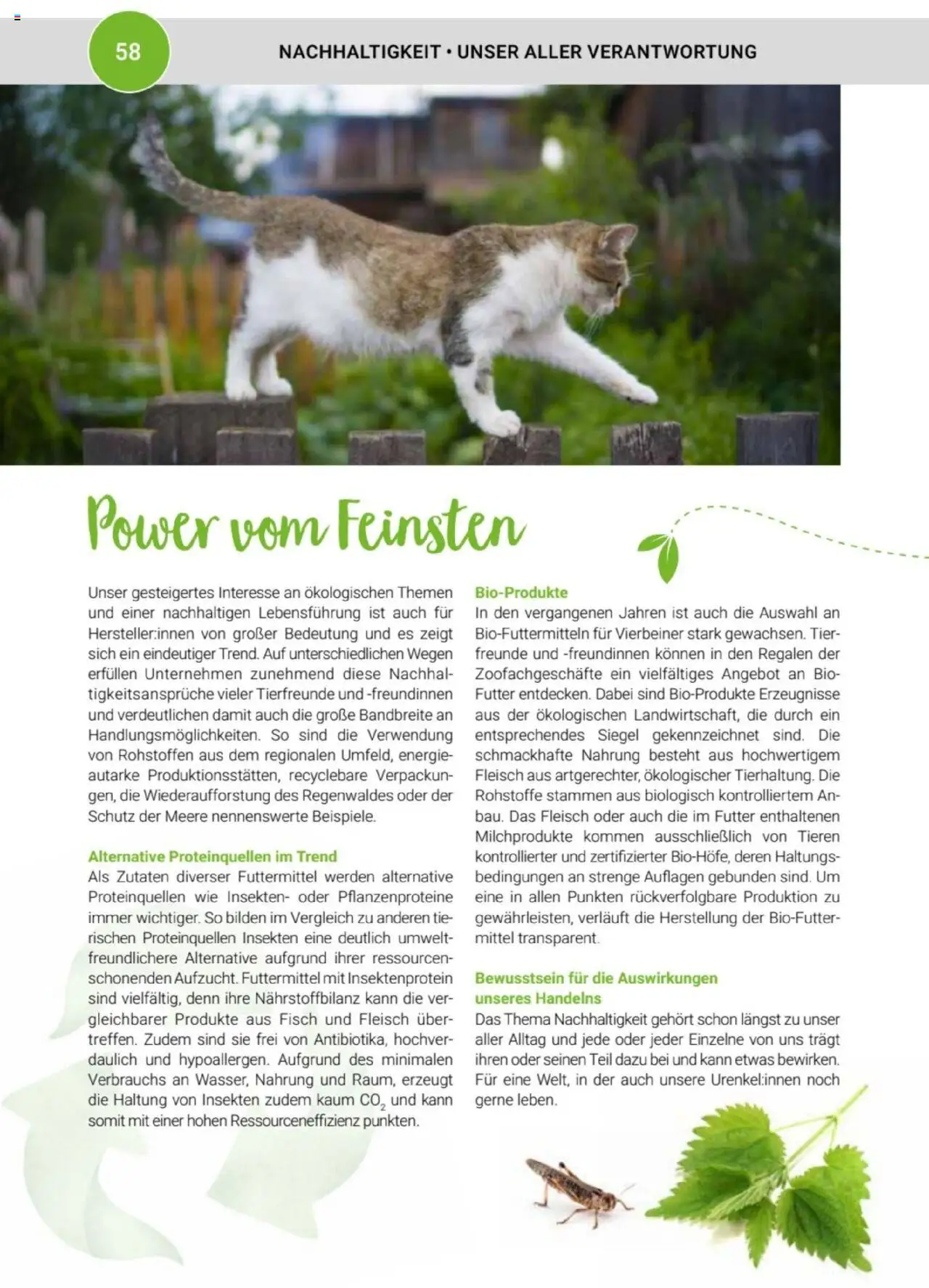 zookauf Themenkatalog Katze - Seite 58 - gültig ab 01.10.2025