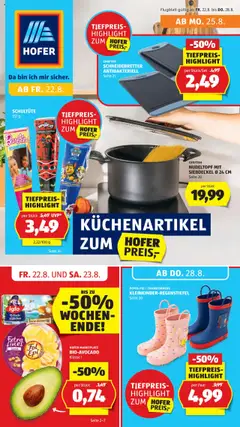 Vorschau Hofer Flugblatt gültig ab 22.08.2025