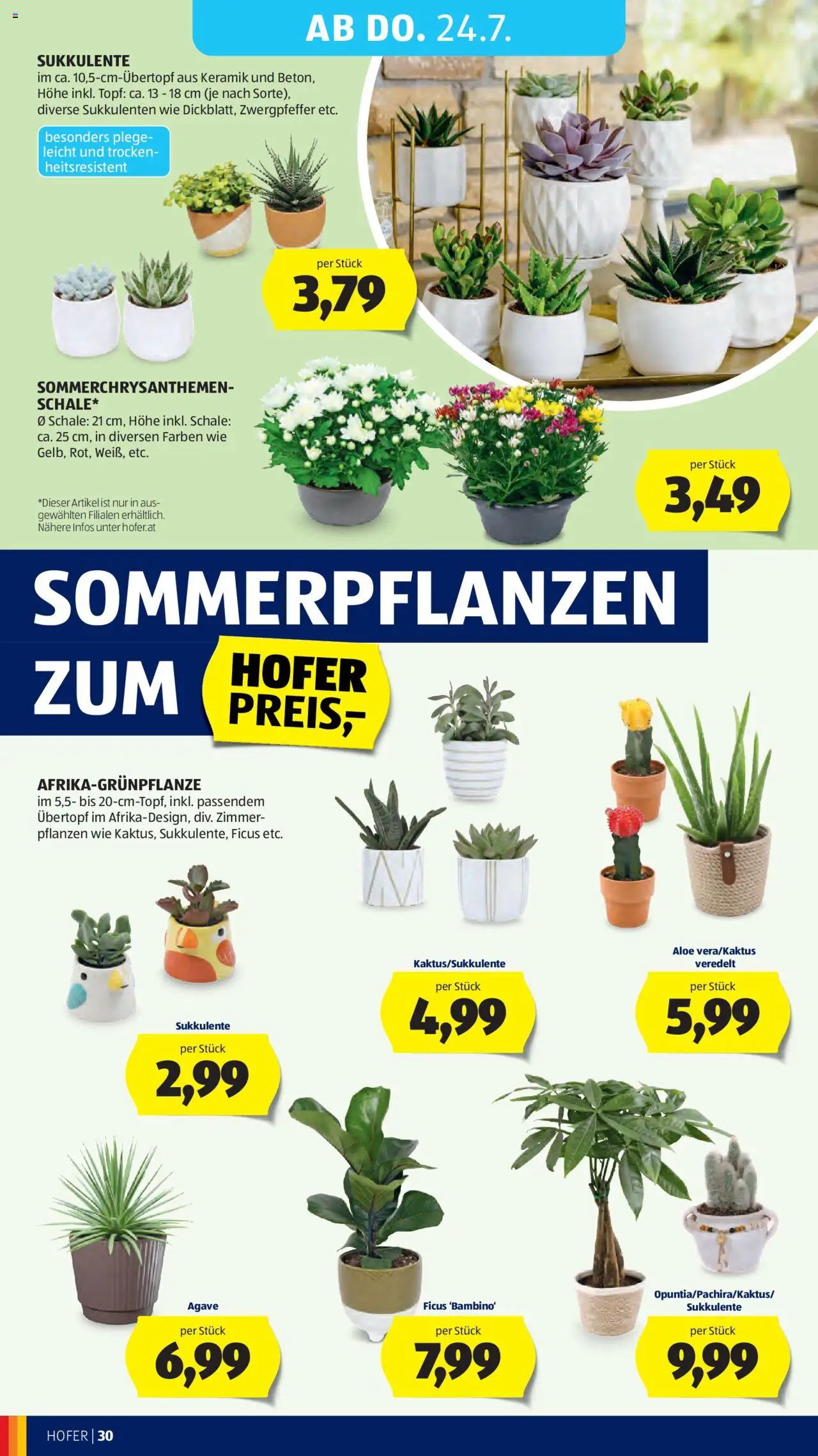 Hofer Flugblatt - Seite 34- gültig ab 18.07.2025