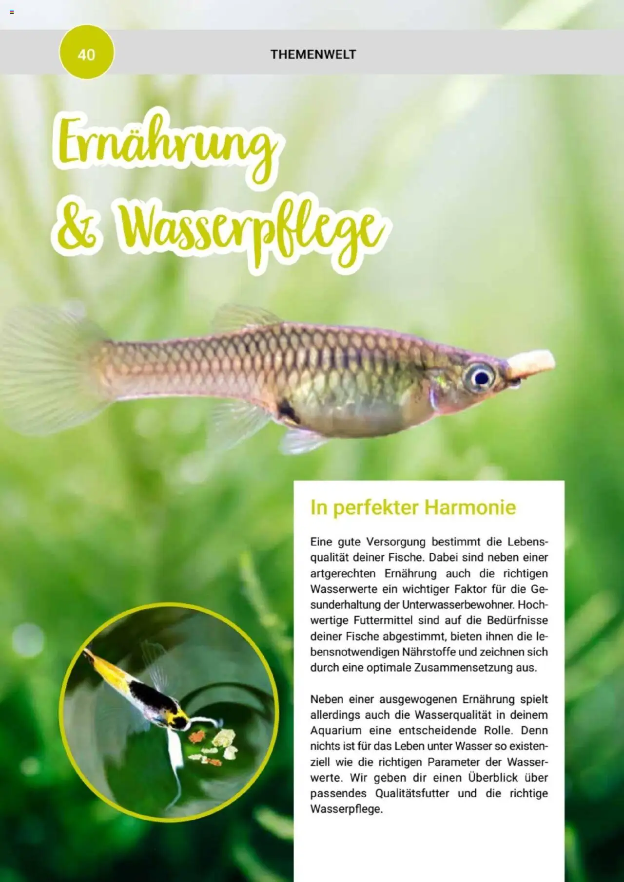 zookauf Themenkatalog Aquaristik - Seite 40 - gültig ab 01.10.2025