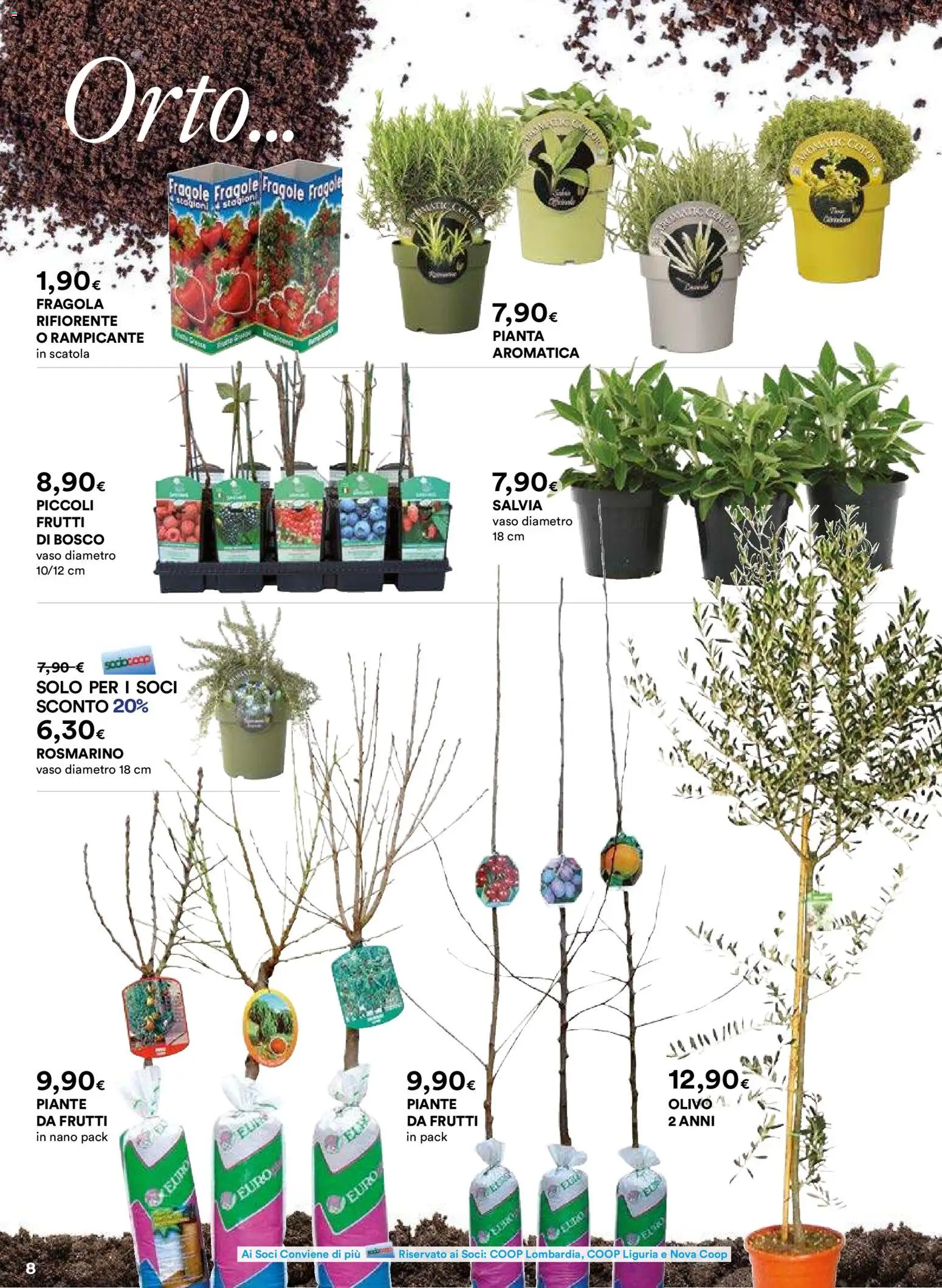 Ipercoop Aria di Primavera - Lombardia catalogo - pagina 8 - valido dal 26/02/2026