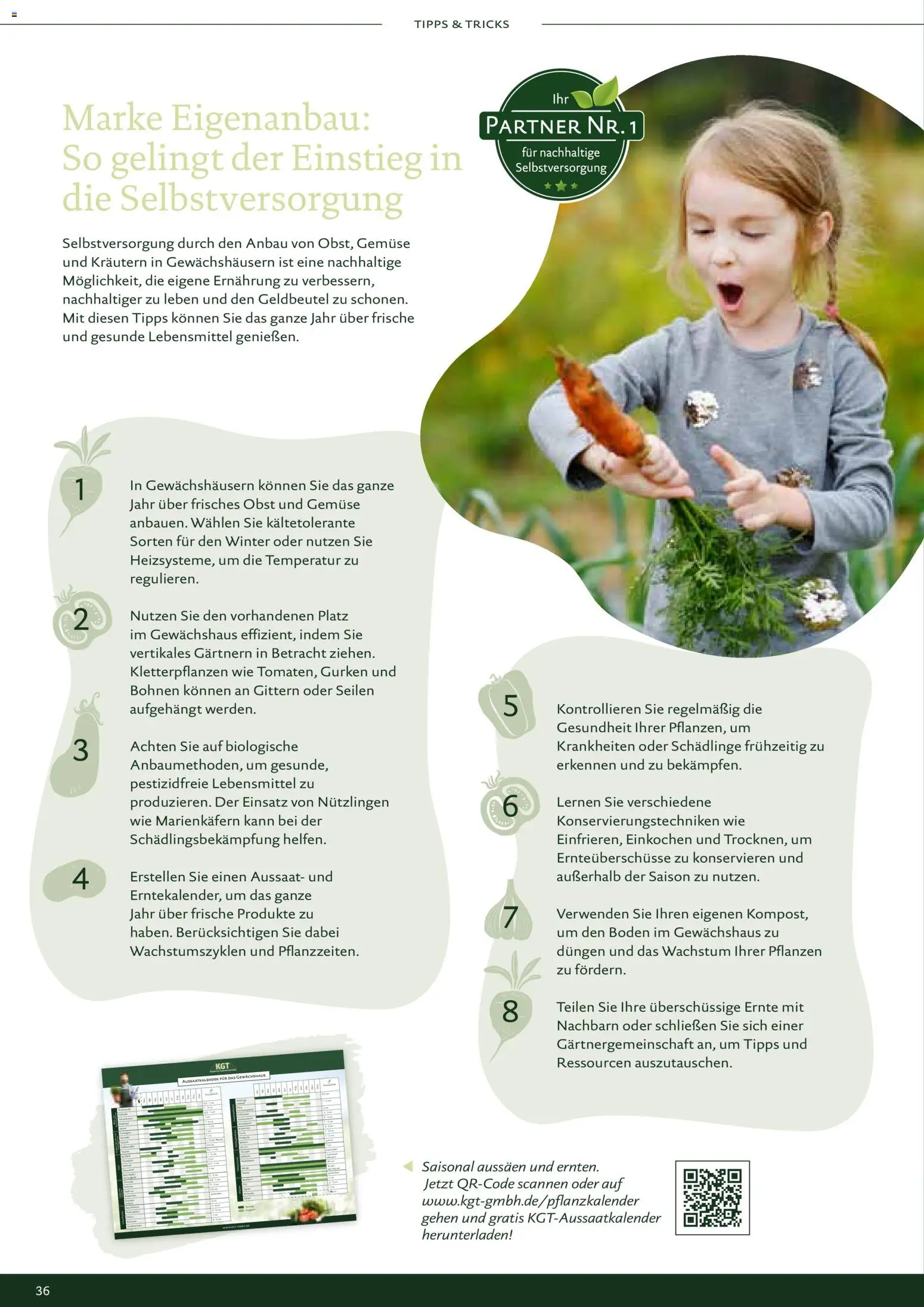 Dehner KGT – Kreative Gartentechnik - Seite 36 - gültig ab 01.01.2026