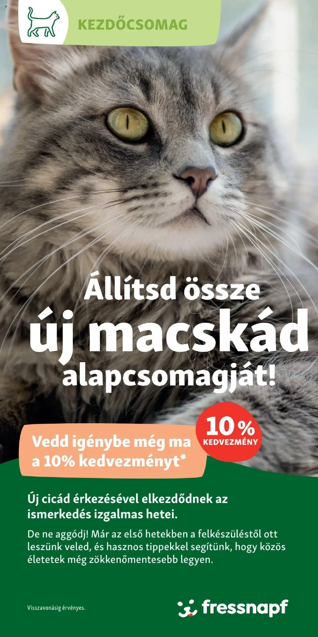 Fressnapf - Fressnapf alapcsomagok cicáknak 2 - 1oldal - érvényes 2025.04.06.-tól