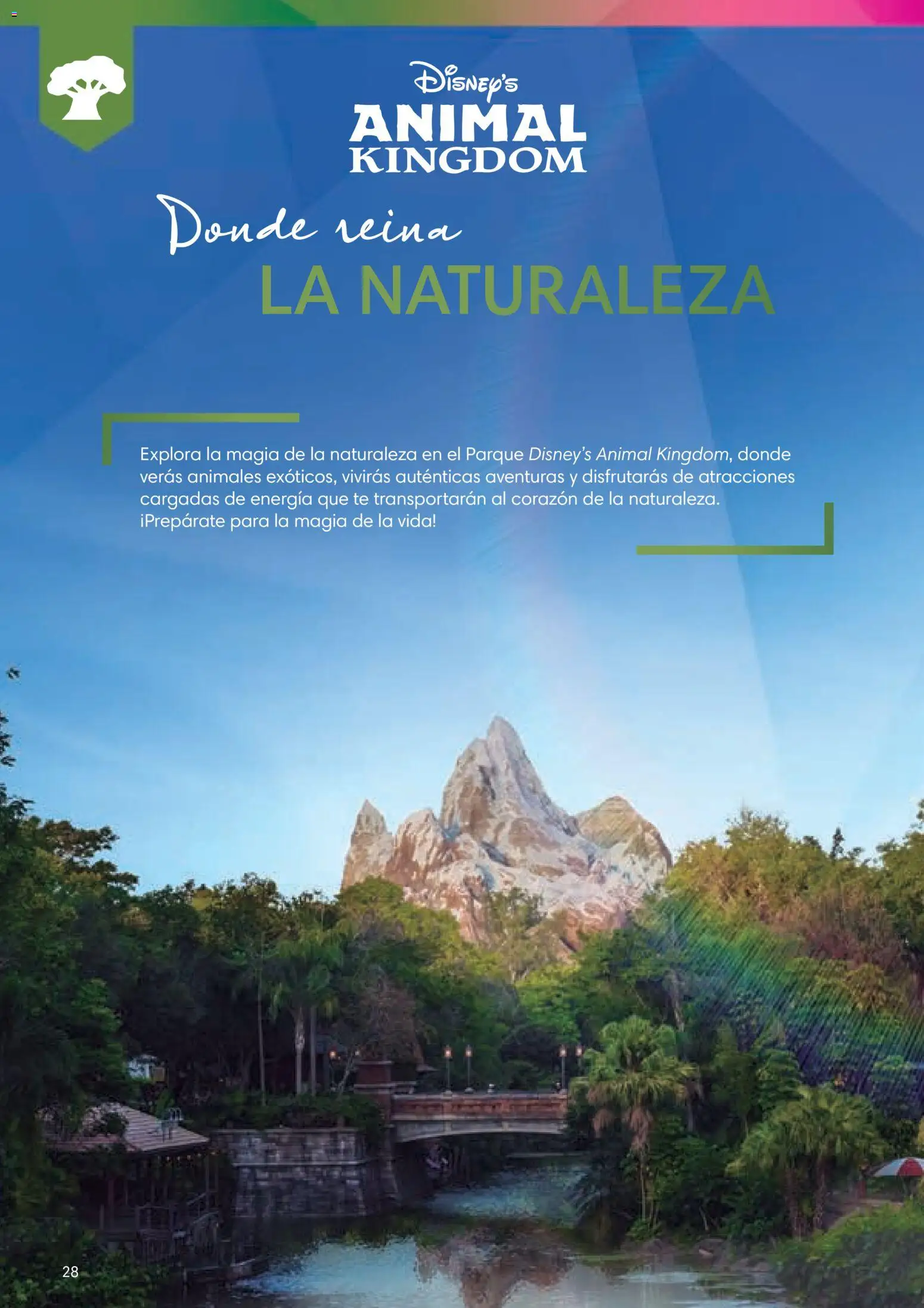 Viajes El Corte Inglés Folleto Walt Disney World - Página de 28 - Válido desde 03/12/2025