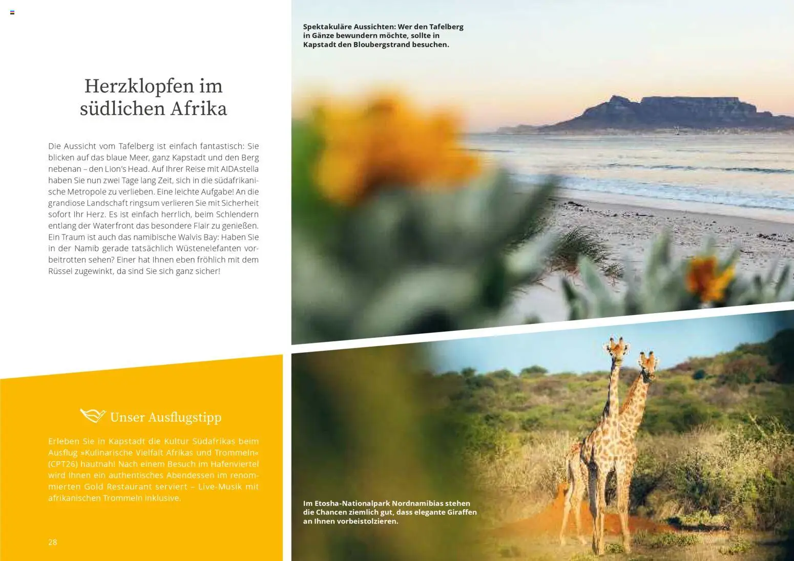 Aida Fernreisen Winter - Seite 28 - gültig ab 01.10.2025