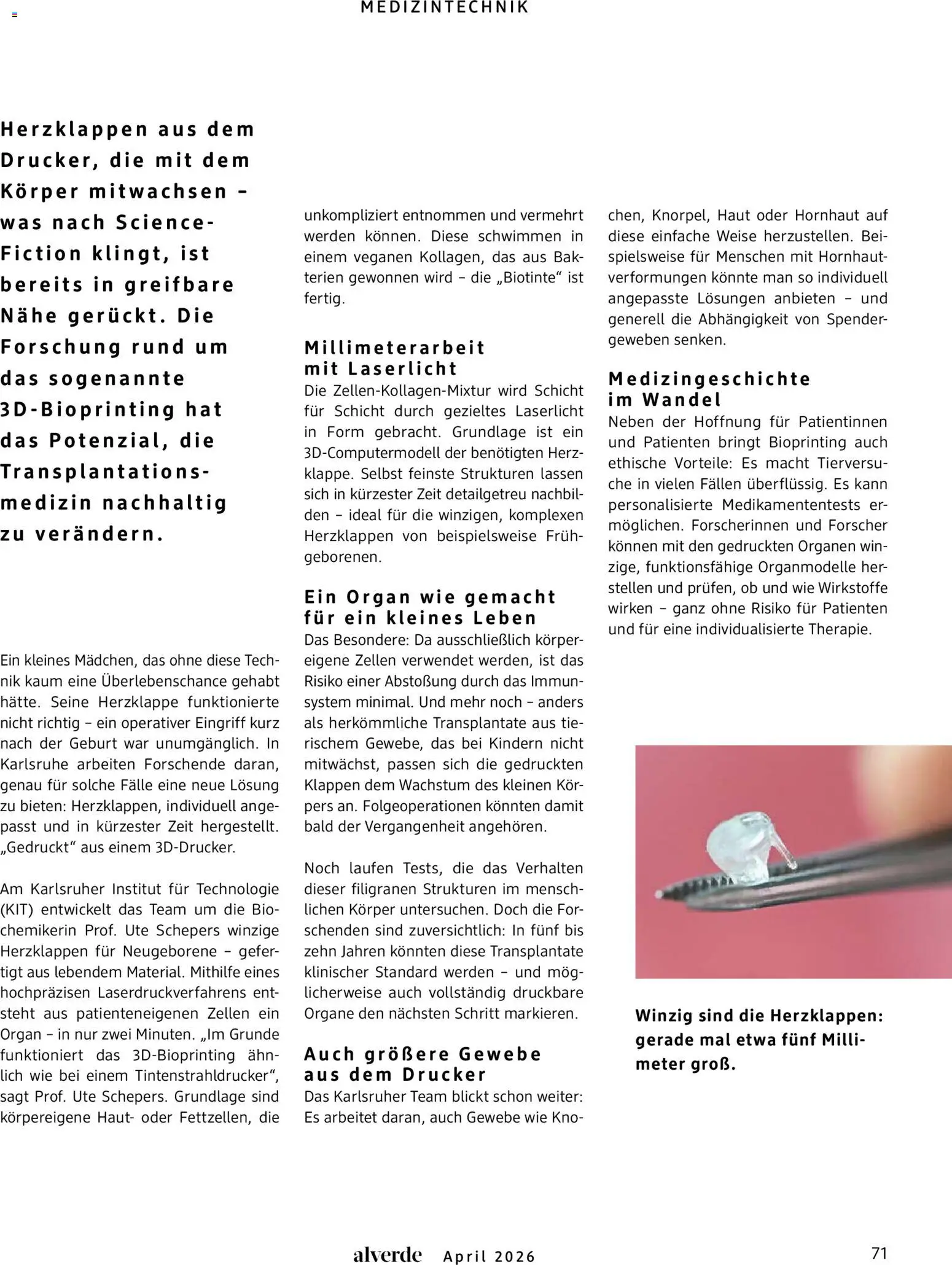 dm drogerie Prospekt 	 - Seite 71 - gültig ab 01.04.2026