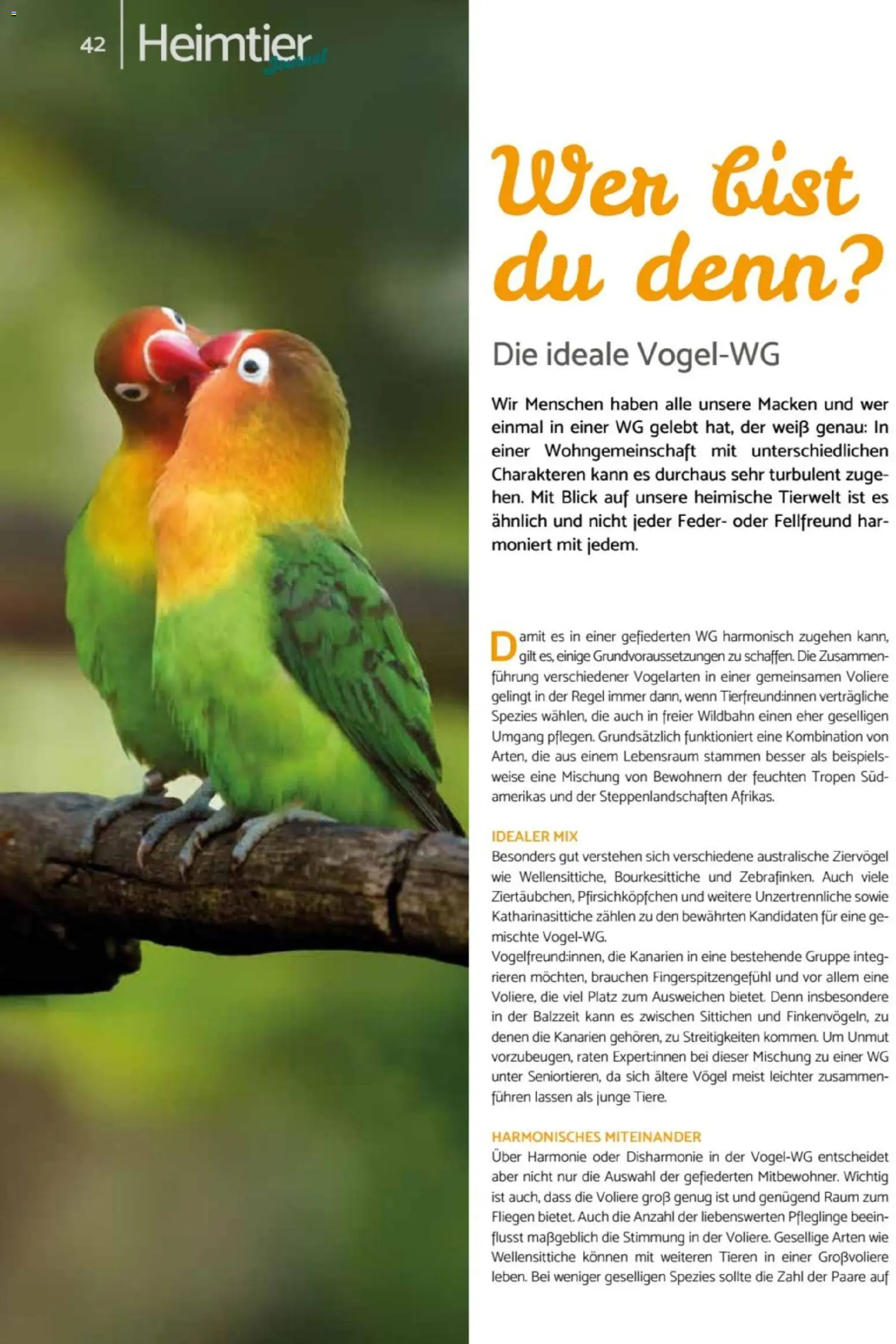 zookauf - Heimtier Journal - Seite 42 - gültig ab 01.12.2025