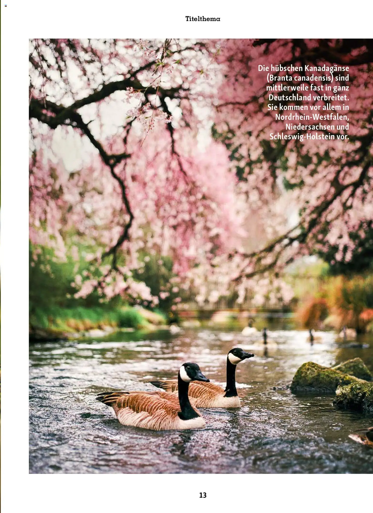 Fressnapf Friends Magazin - Seite 13 - gültig ab 02.03.2026