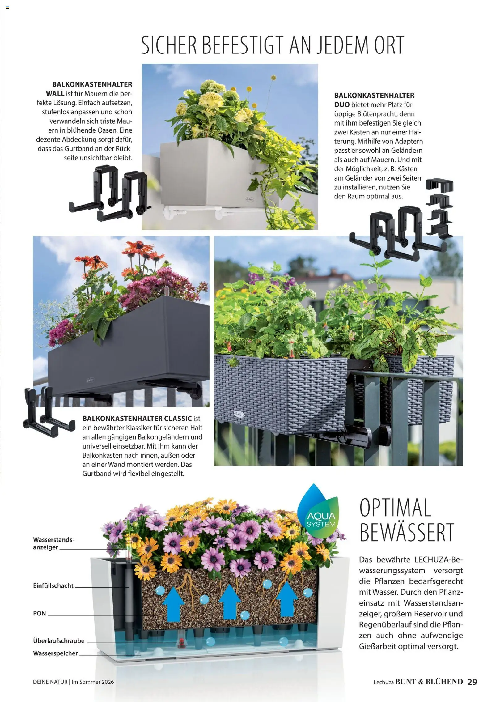 Dehner Prospekt 	 - Seite 29 - gültig ab 17.04.2026