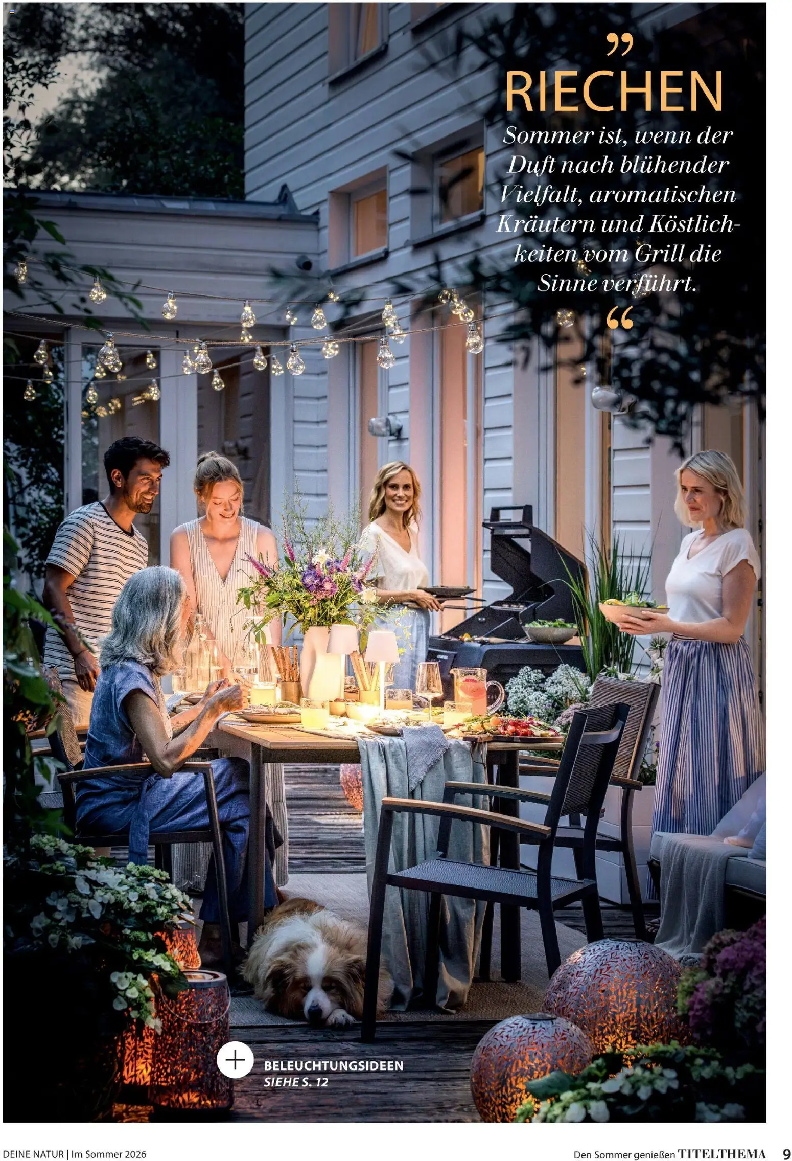 Dehner Prospekt 	 - Seite 9 - gültig ab 17.04.2026