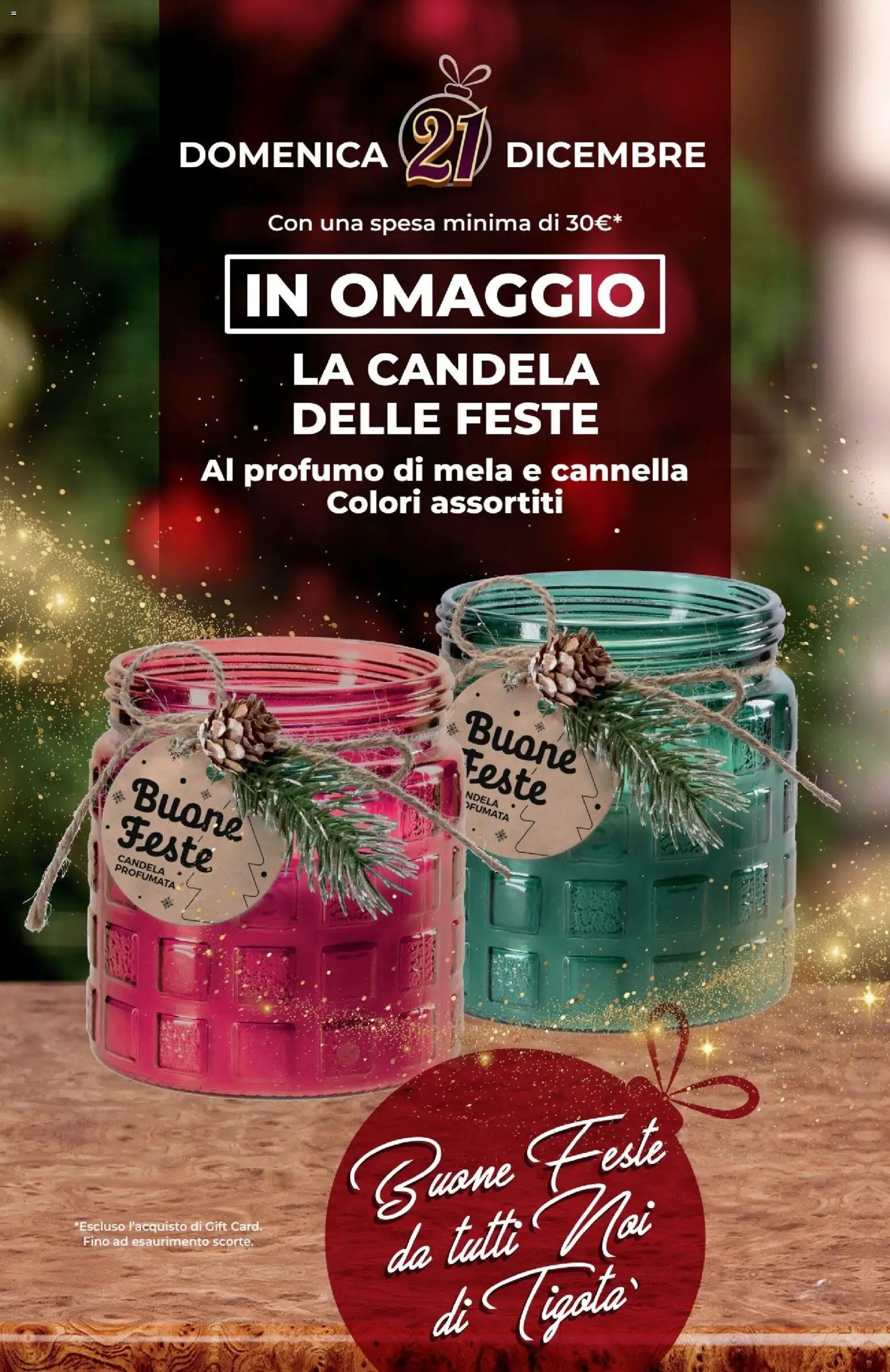 Volantino Tigotà	 - pagina 31 - valido dal 01/12/2025