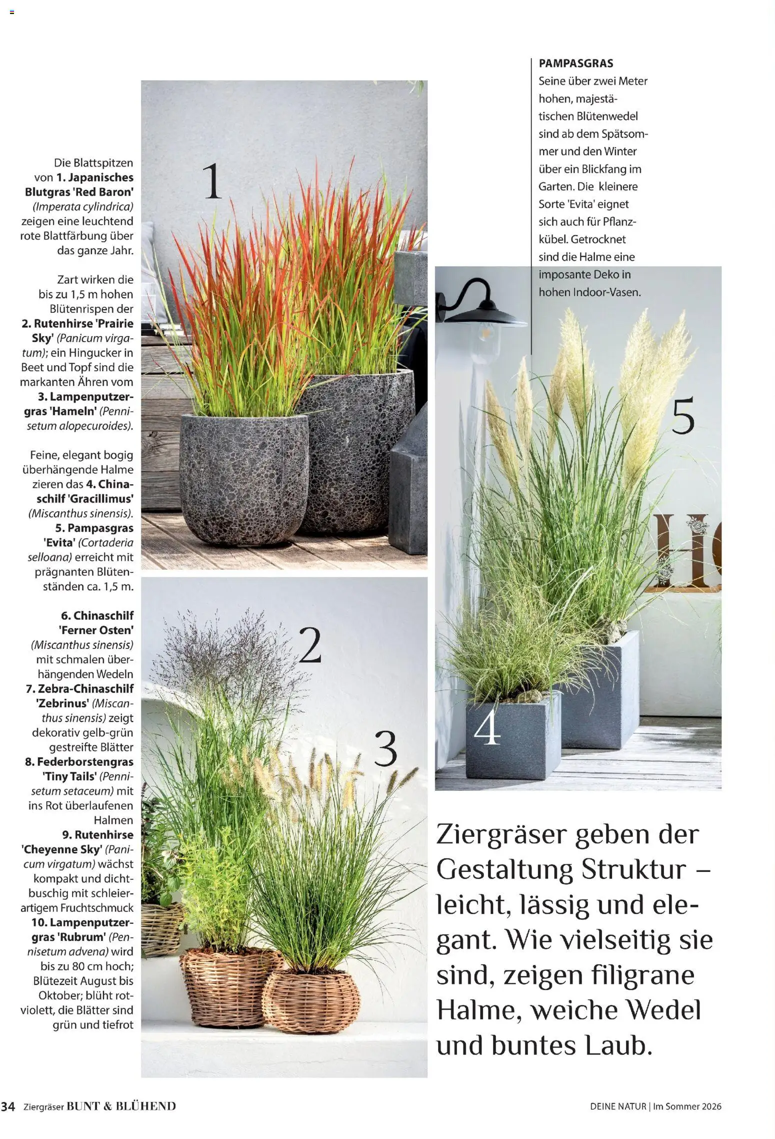 Dehner Prospekt 	 - Seite 34 - gültig ab 17.04.2026