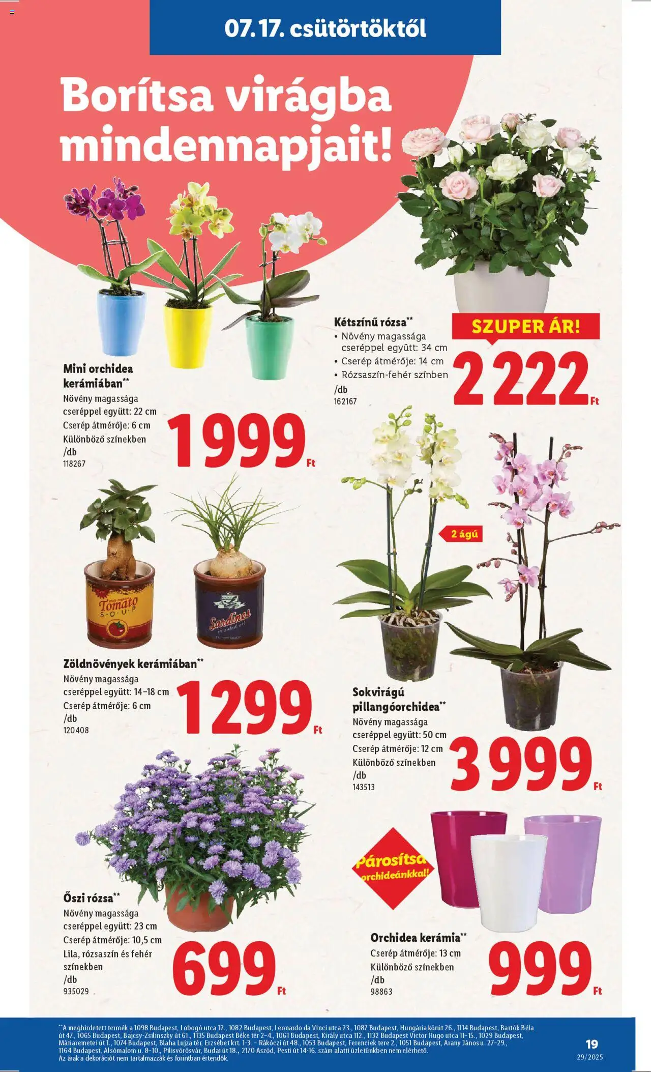 Lidl Akciós újság - 19oldal - érvényes 2025.07.17.-tól
