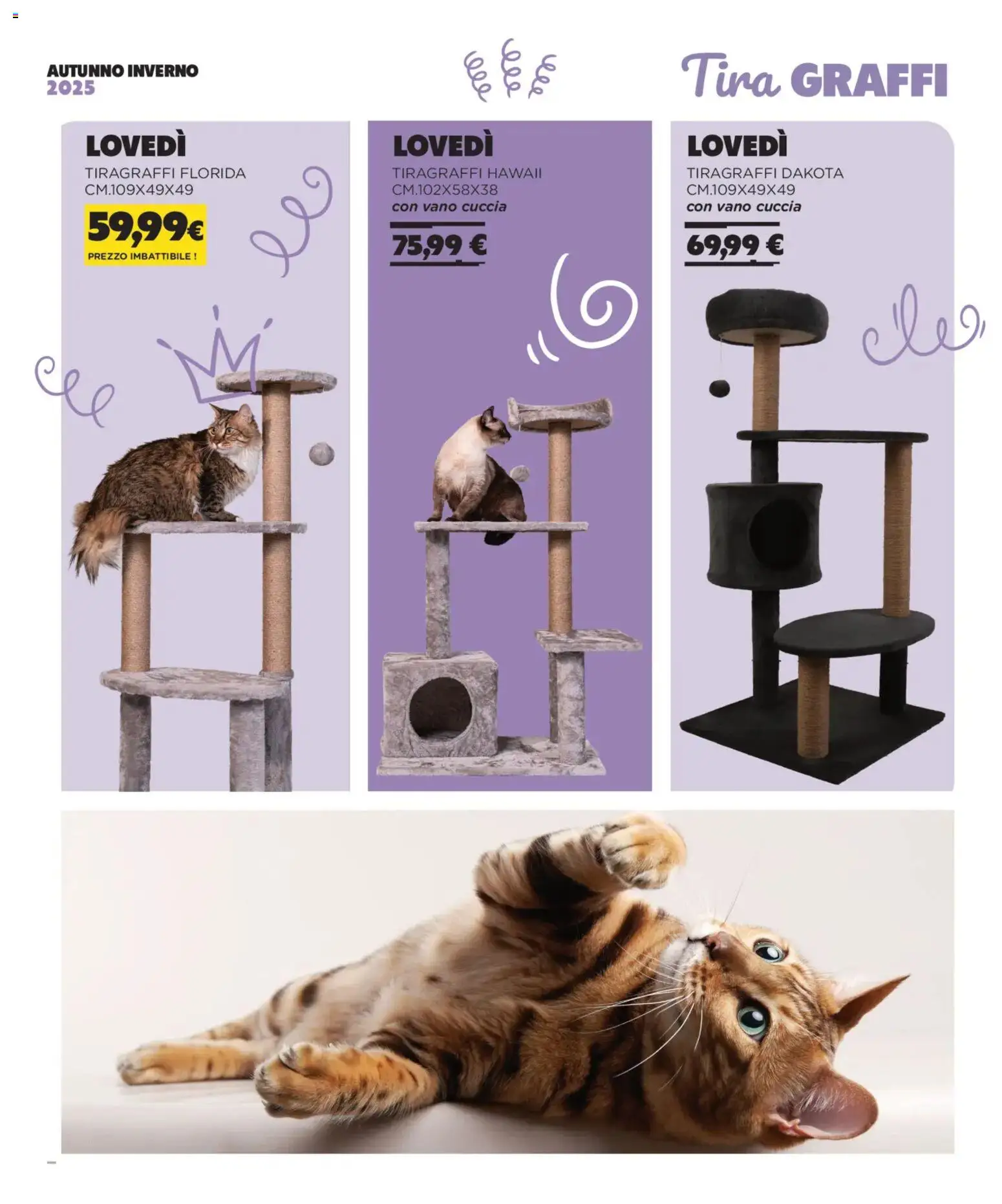 Arcaplanet Autunno Inverno catalogo - pagina 13 - valido dal 01/11/2025