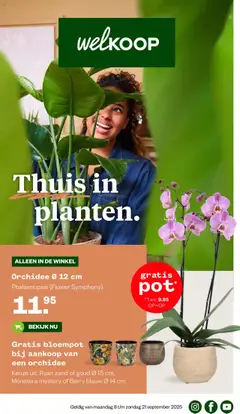 Welkoop - Folder geldig vanaf 08-09-2025