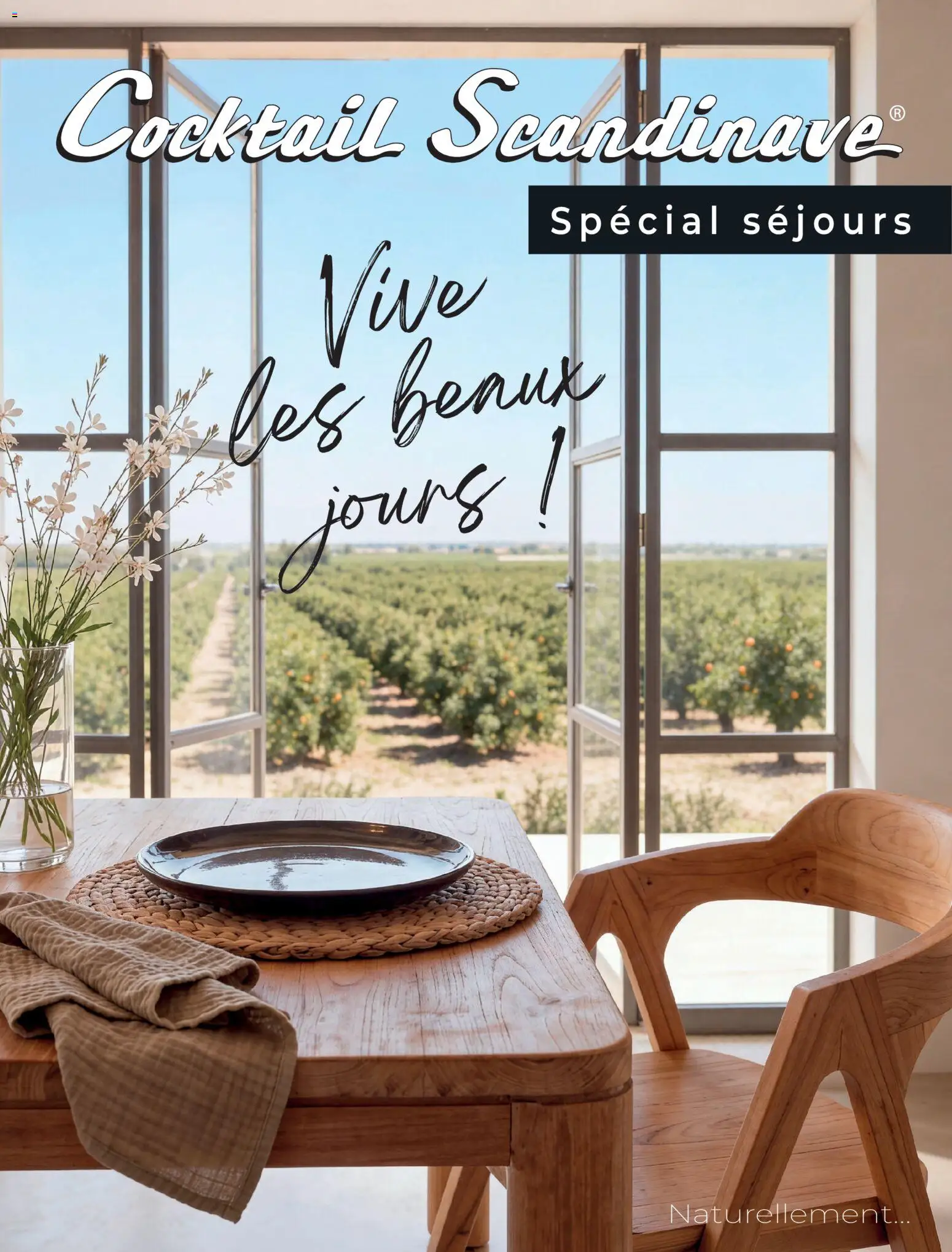 Cocktail Scandinave catalogue - page 1 - valable à partir du 26/04/2026