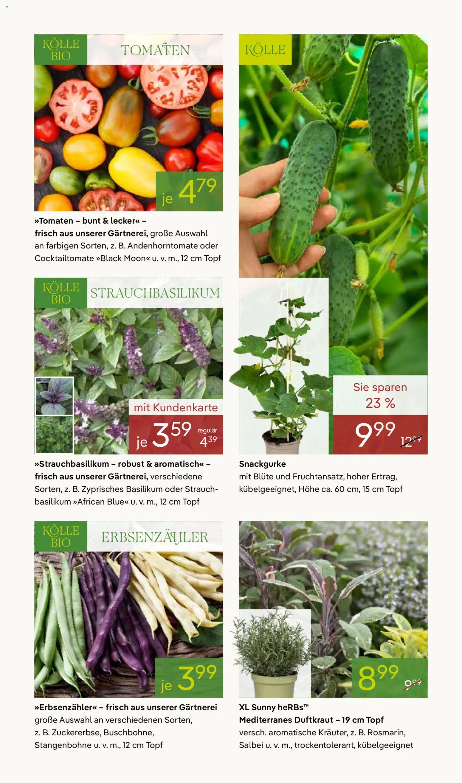 Pflanzen-Kölle Prospekt 	 - Seite 9 - gültig ab 20.04.2026