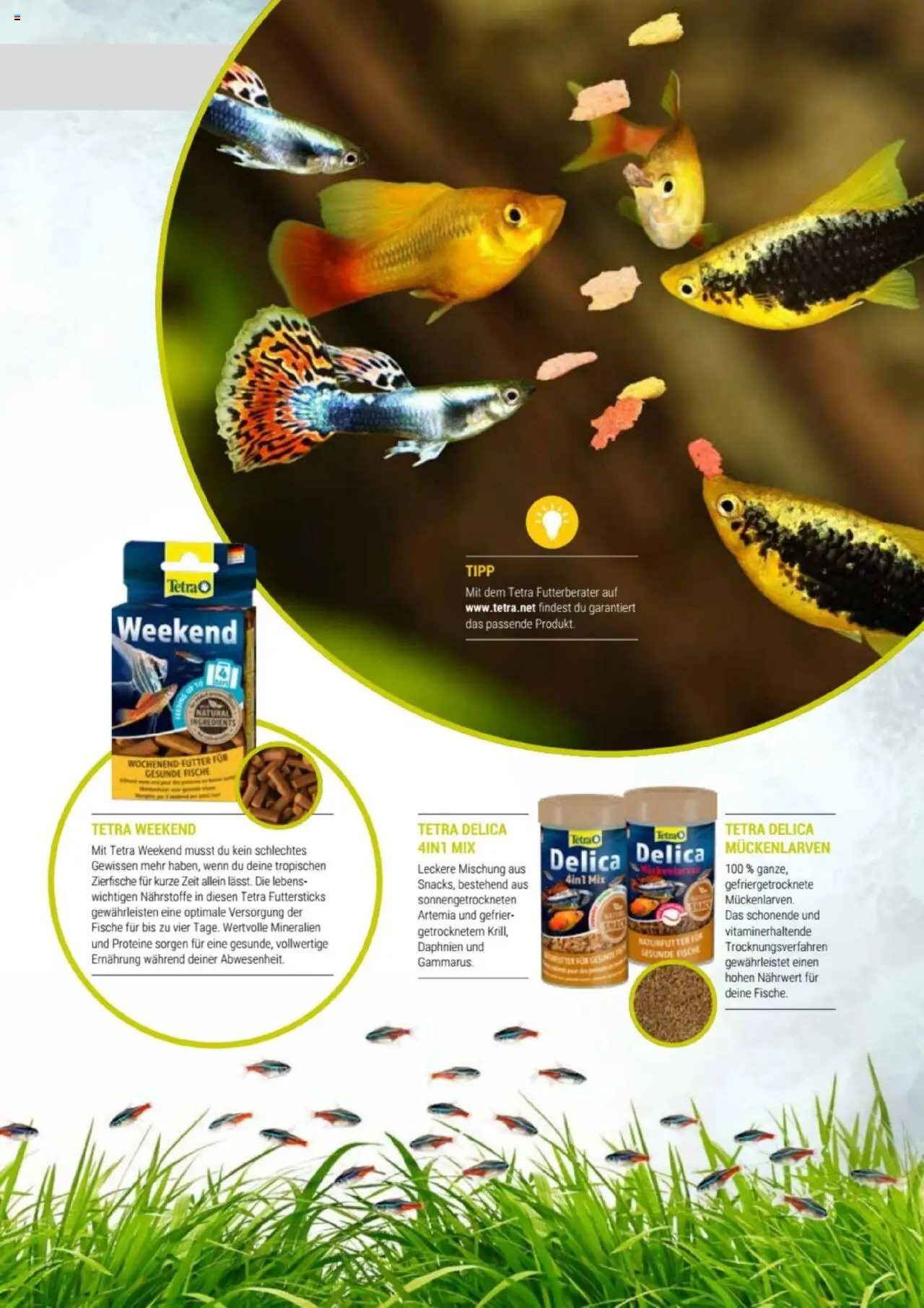 zookauf Themenkatalog Aquaristik - Seite 45 - gültig ab 01.10.2025