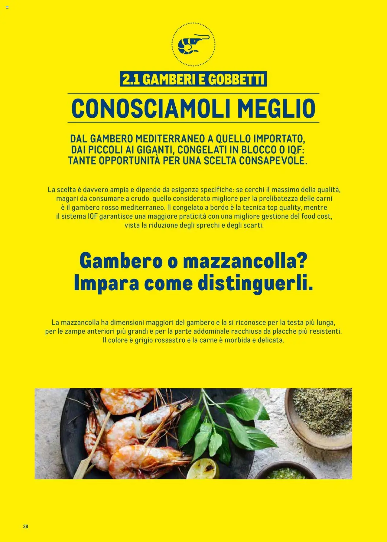 Metro Surgelati 2025 catalogo - pagina 28 - valido dal 30/06/2025