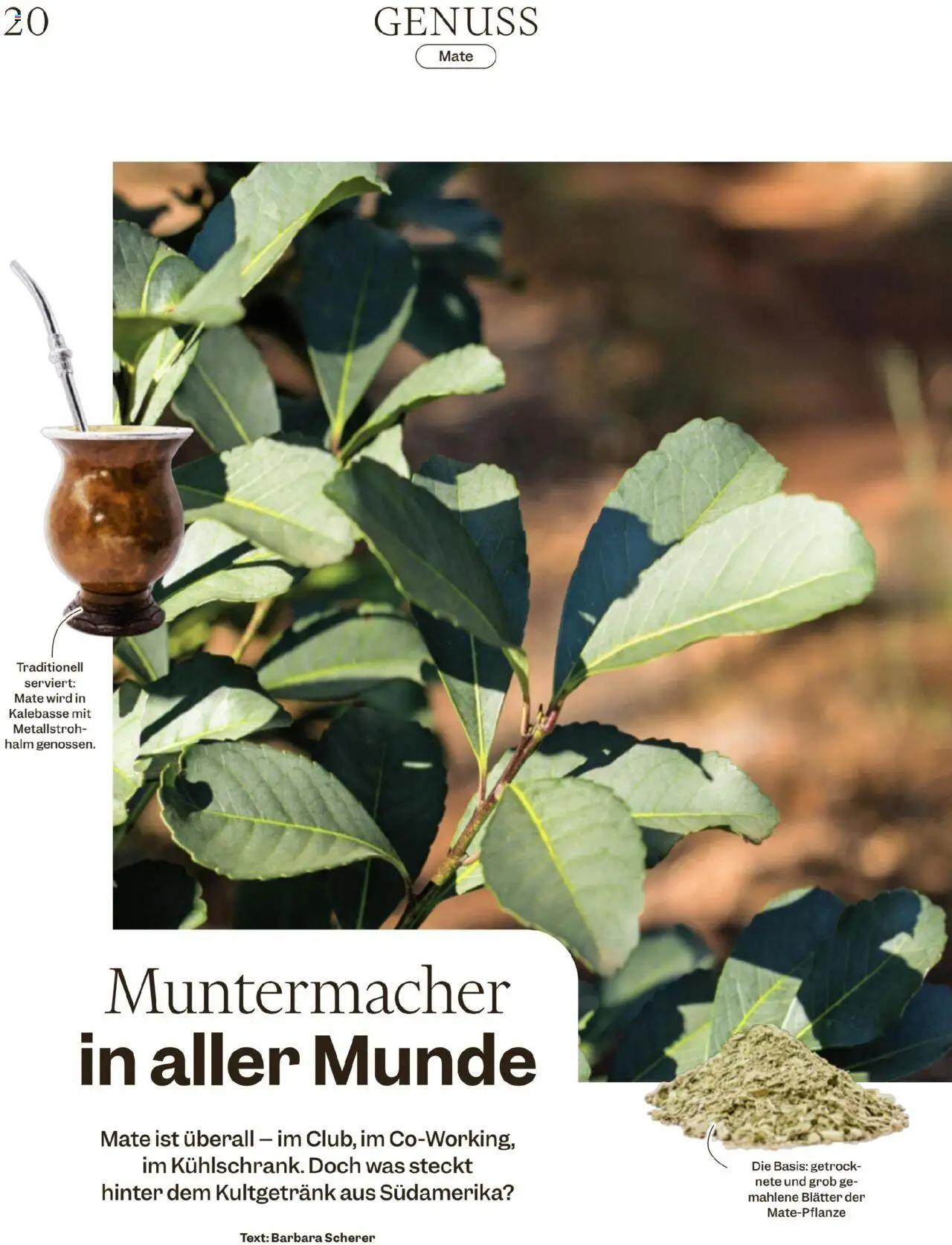 Migros Magazin  - Seite 20- gültig ab 15.07.2025
