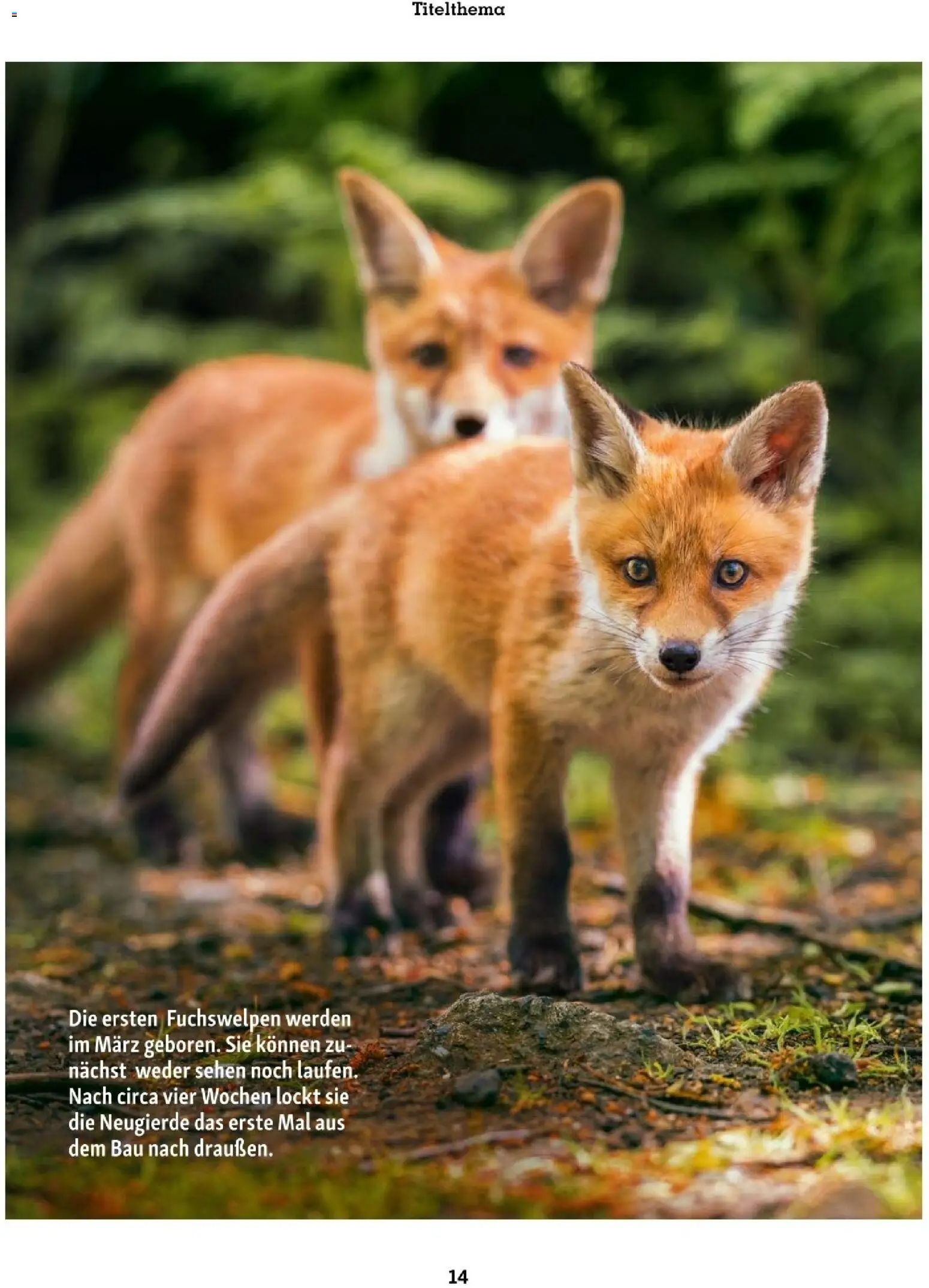 Fressnapf Friends 02/26 - page 14- valid from 01.03.2026