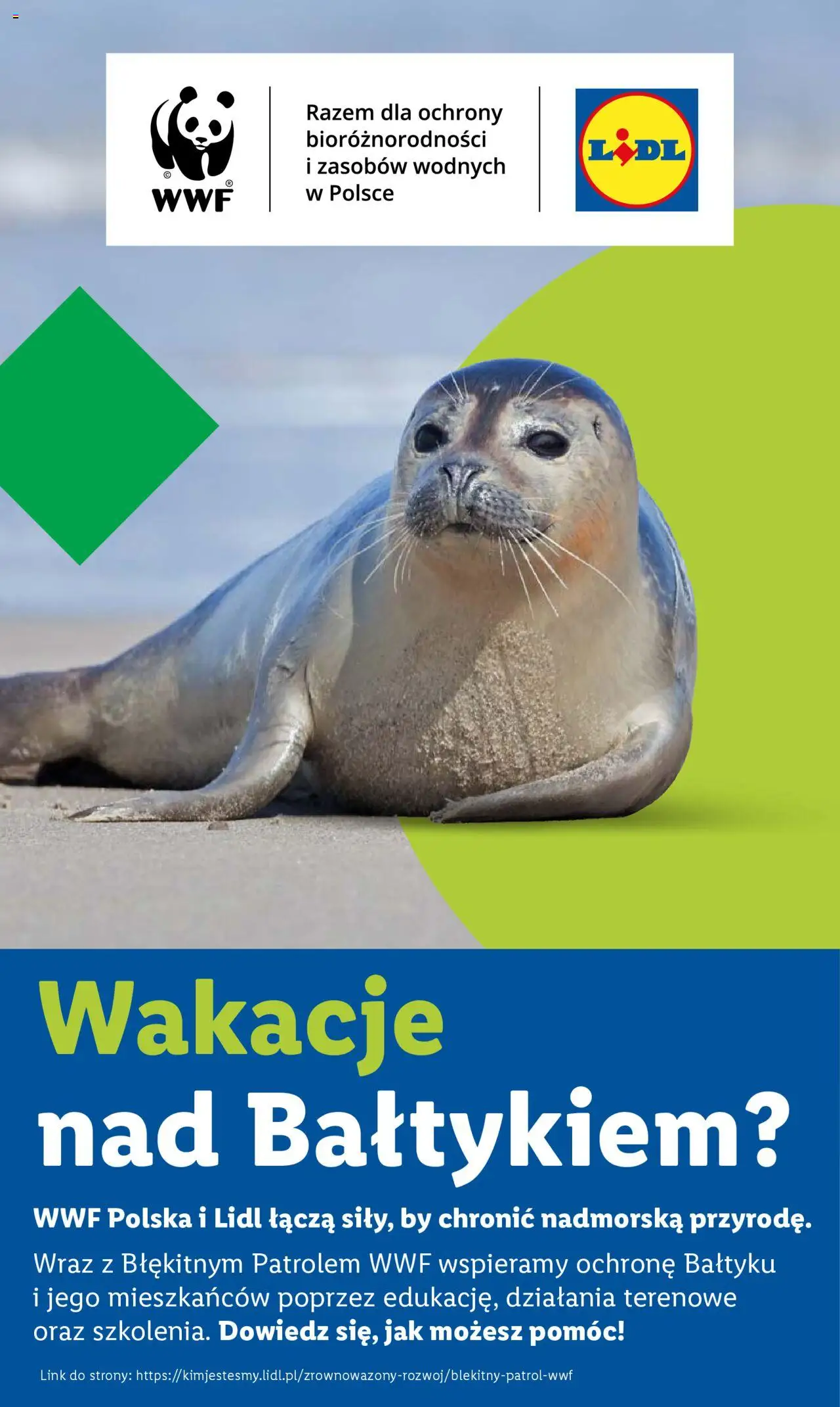 Lidl Gazetka - strona 60- ważny od 17.07.2025