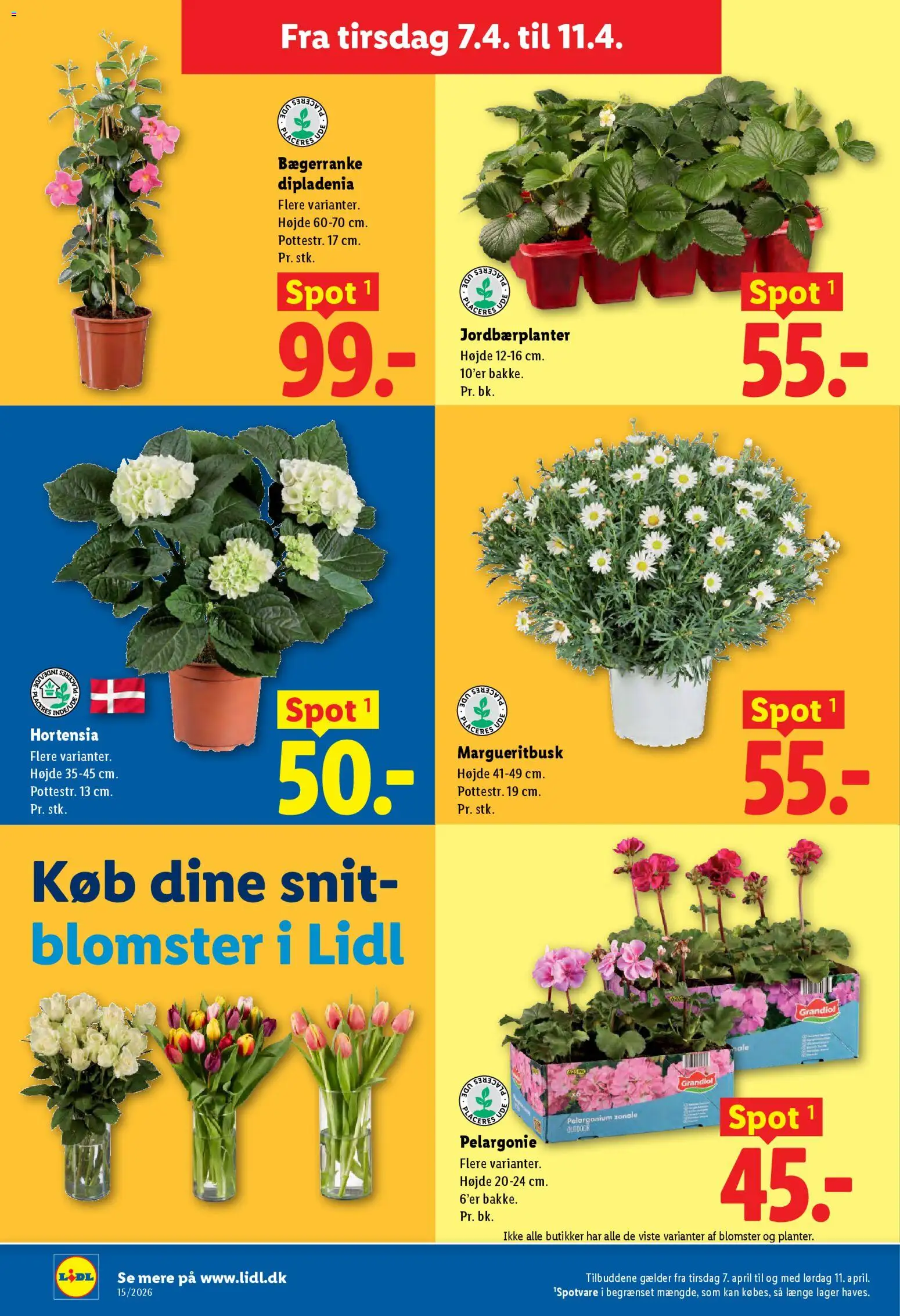 Lidl - Tilbudsavis - page 30- valid from 07/04/2026