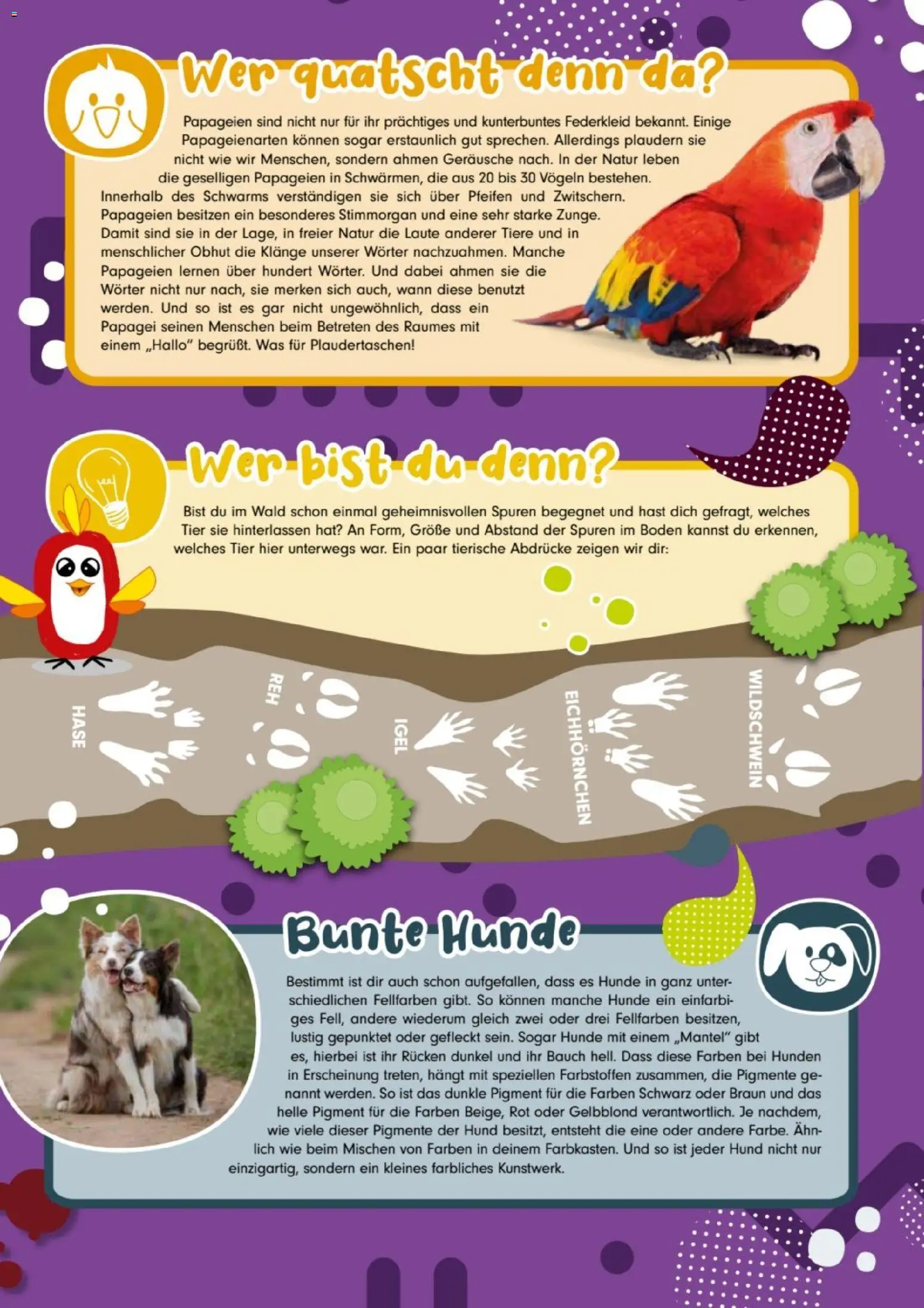 zookauf Kids - Seite 3 - gültig ab 01.04.2026