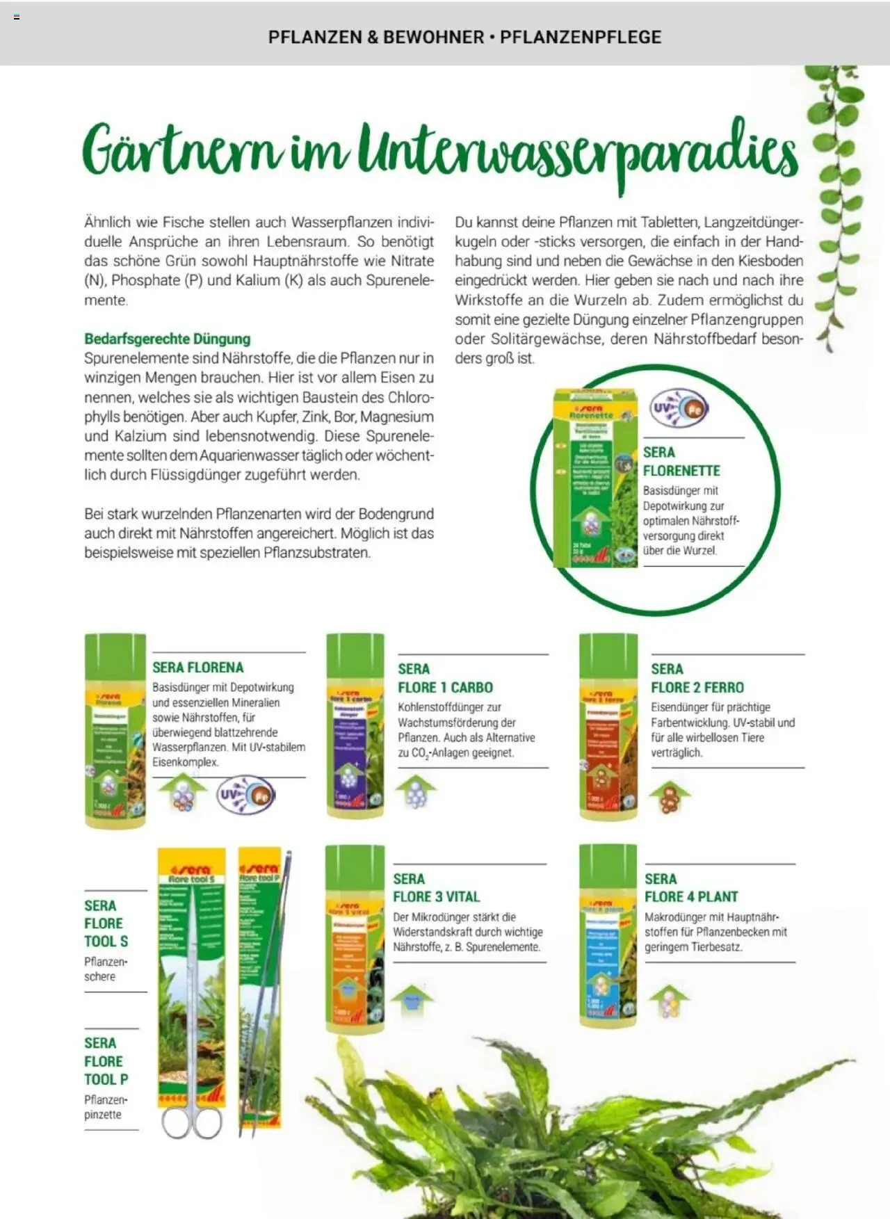 zookauf Themenkatalog Aquaristik - Seite 37 - gültig ab 01.10.2025