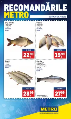 Catalog Metro valabil de la 20.10.2025