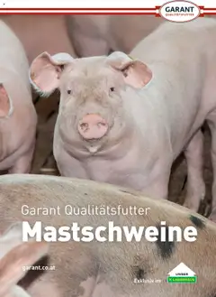 Vorschau Lagerhaus  Schweinemast gültig ab 01.10.2025