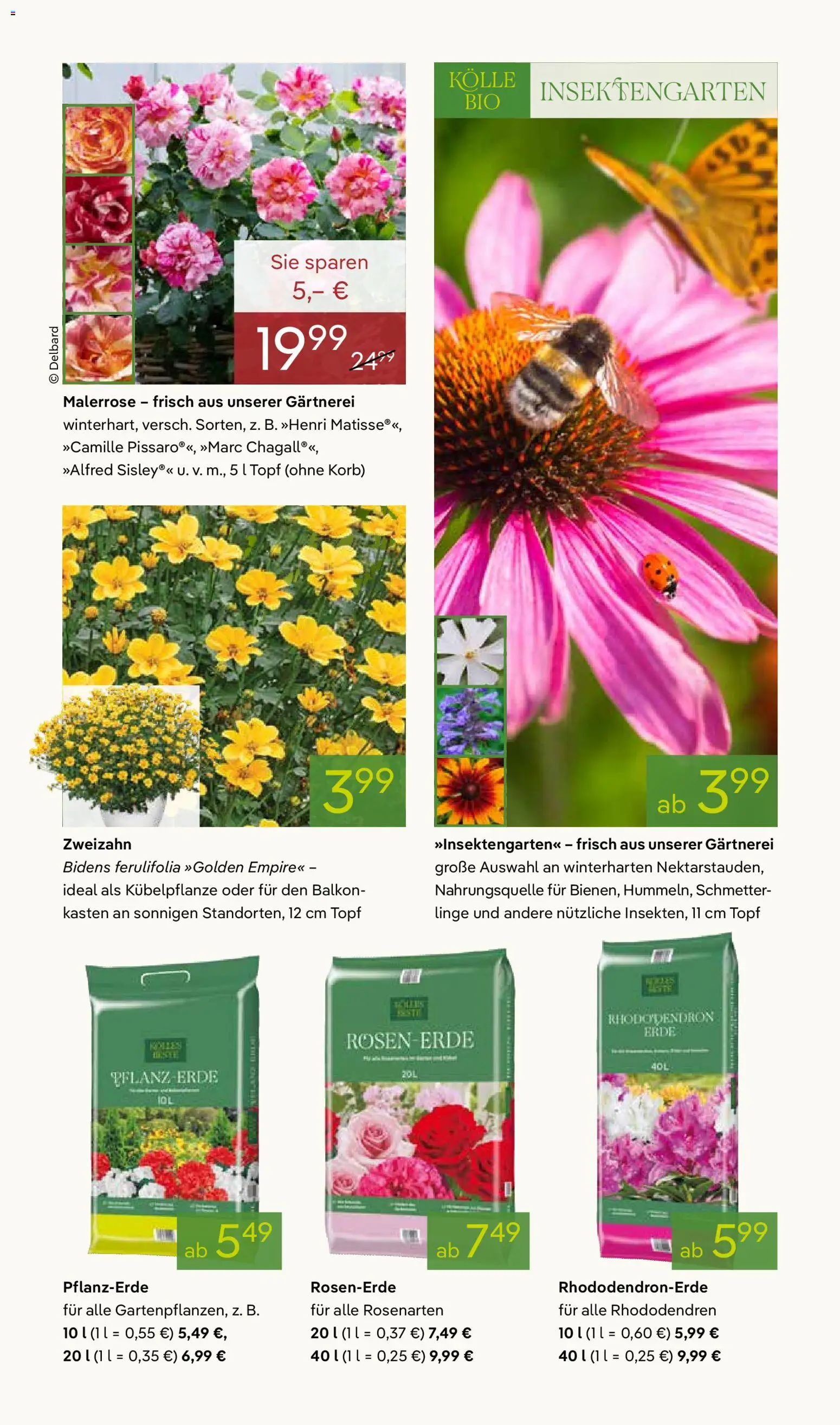 Pflanzen-Kölle Prospekt 	 - Seite 5 - gültig ab 20.04.2026