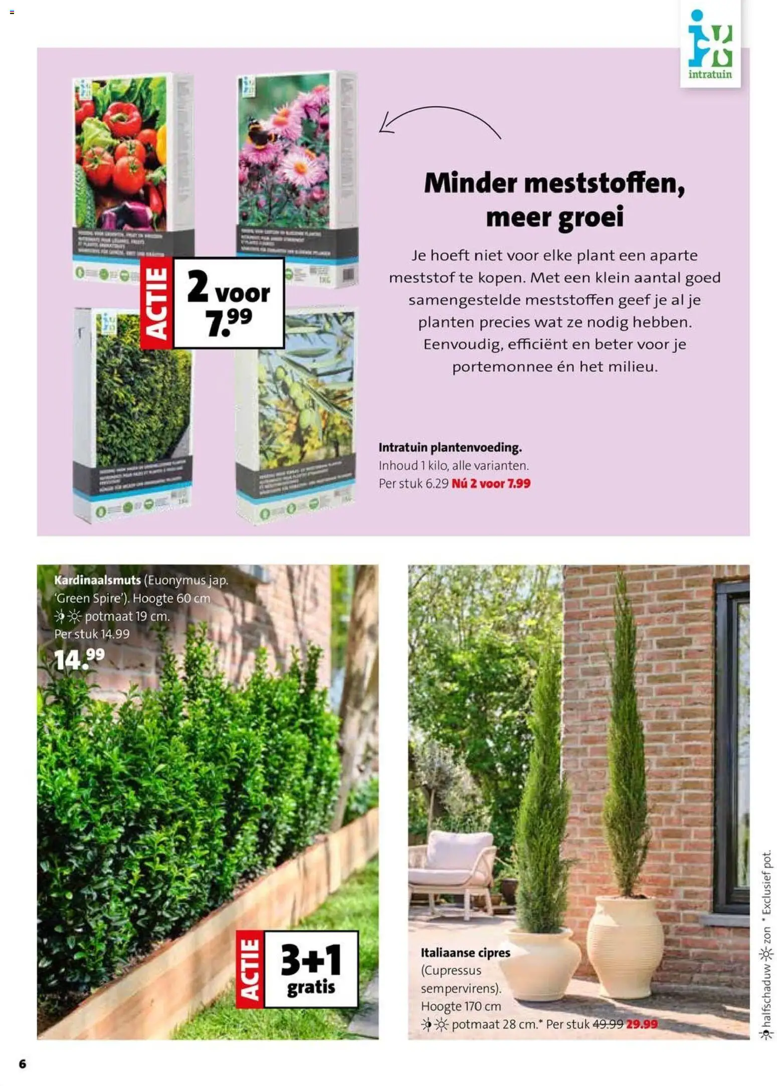 Intratuin folder - page 6- valid from 30-03-2026