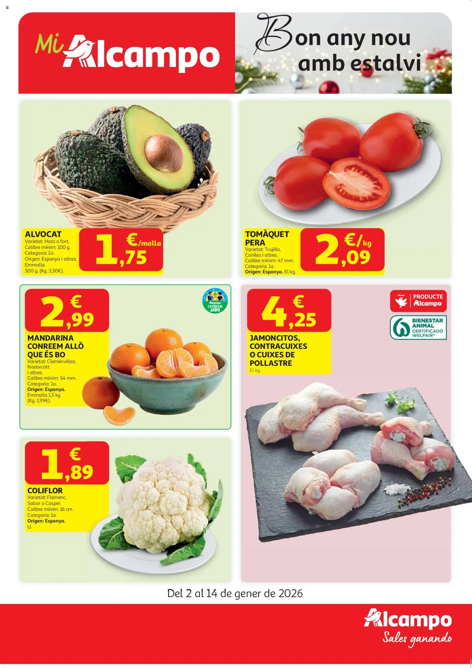 Alcampo - Start Cat - Página de 1 - Válido desde 02/01/2026